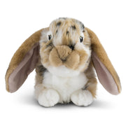 Brown Dutch Lop Eared Rabbit Stuffed Animal | Fluffy Rabbit Animal | Soft Toy for Kids
