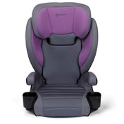 Grow and Go 2-in-1 Booster Car Seat with ComfortWings, Converts High-Back
