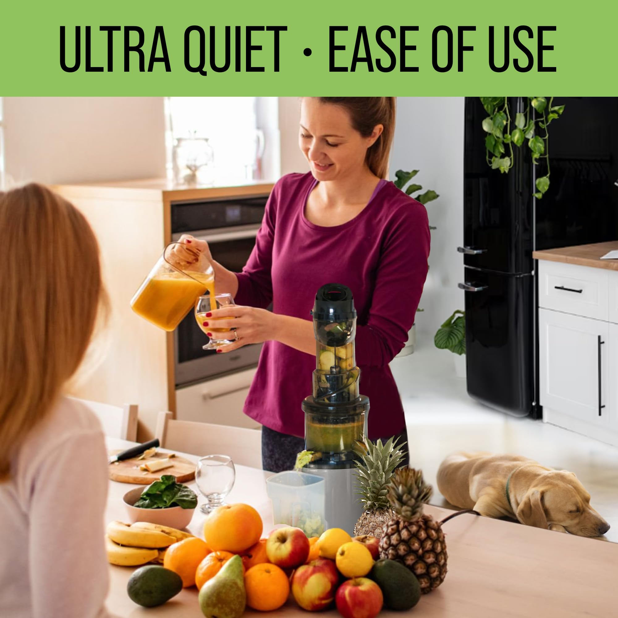 Electric Masticating Cold Press Juicer - Easy to Clean Cold Press Juicer Machine - Quiet Operation - Extra Large Chute for Whole Vegetables & Fruit