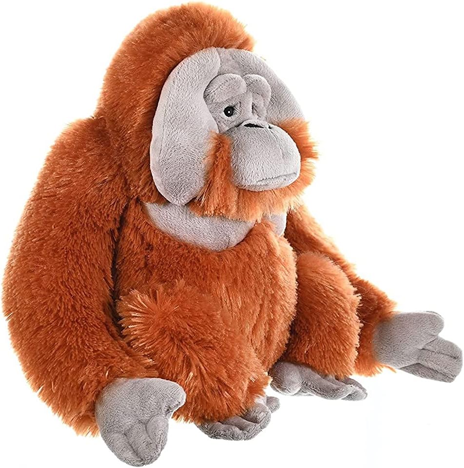 Orangutan Plush, Stuffed Animal, Plush Toy, Gifts for Kids, Cuddlekins 12 Inches