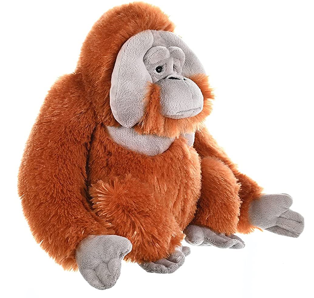 Orangutan Plush, Stuffed Animal, Plush Toy, Gifts for Kids, Cuddlekins 12 Inches