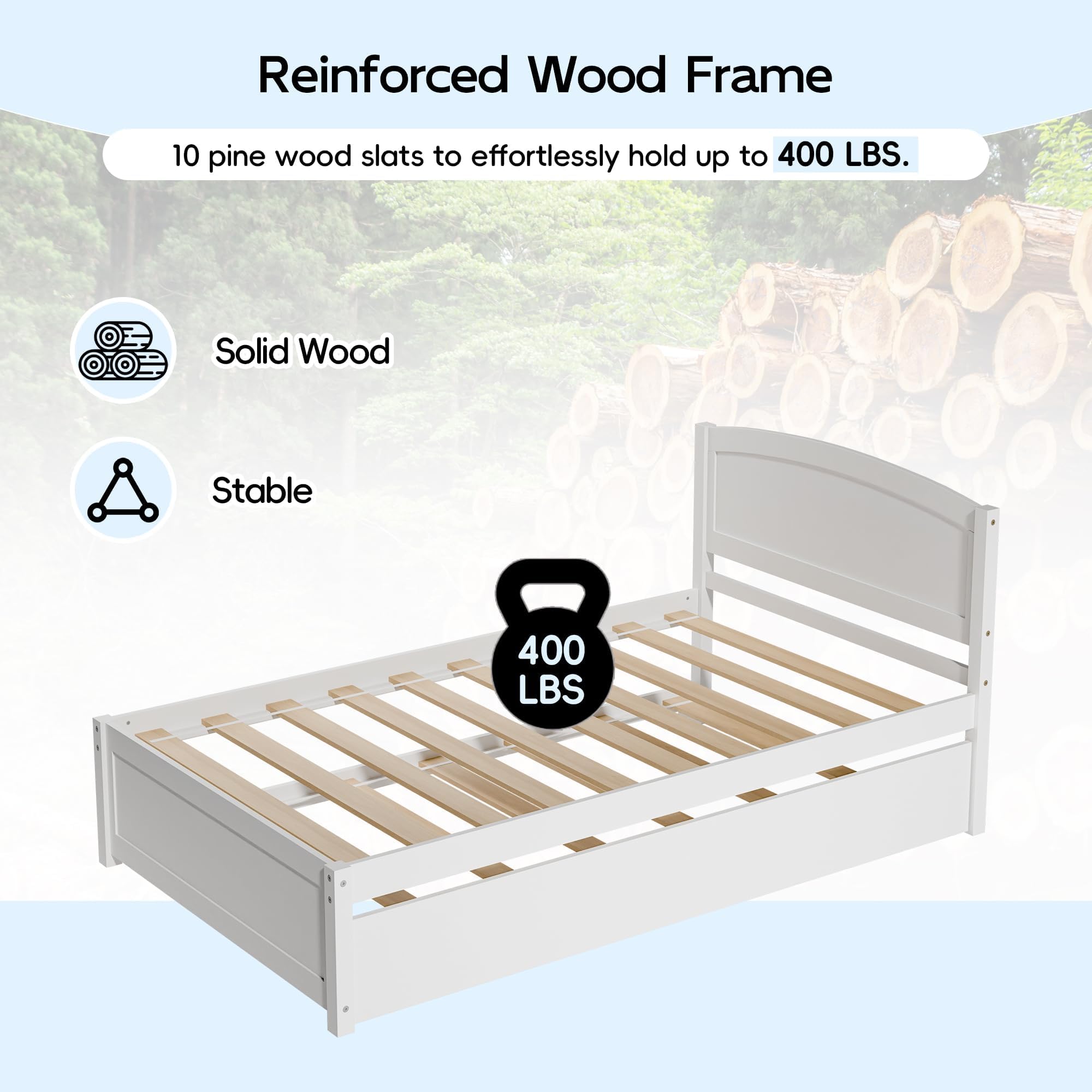 Twin Daybed with Pull-Out Trundle