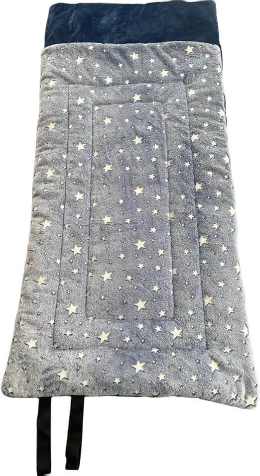 Kids Sleeping Bag with Pillow Pocket - Dinosaur Glow In