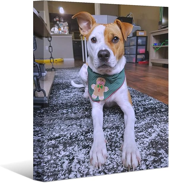 Custom Canvas Prints with Your Photos for 40"x20" Wall Art