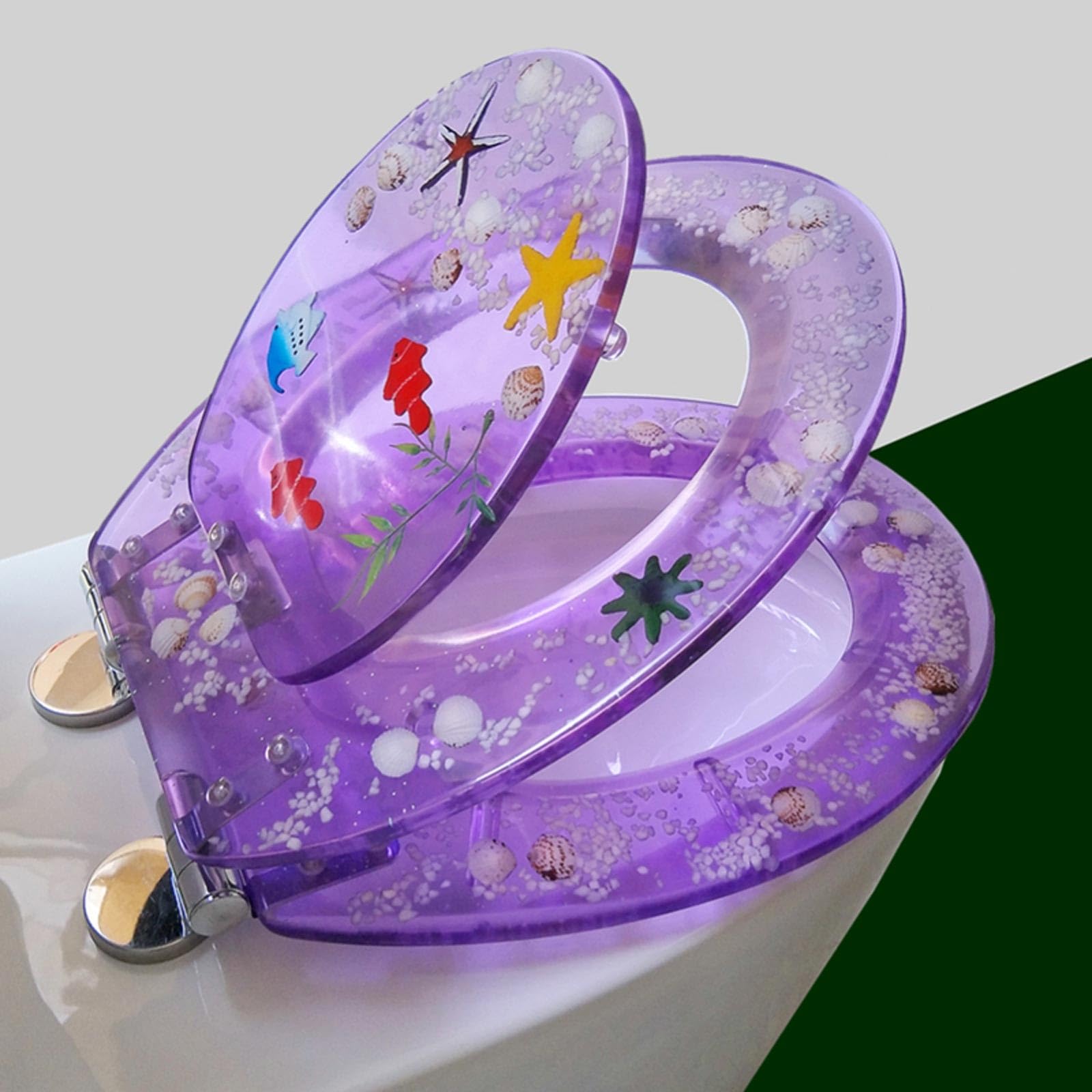 Toilet Seat with Quick-Release Soft Close, 2 In 1 Potty Training