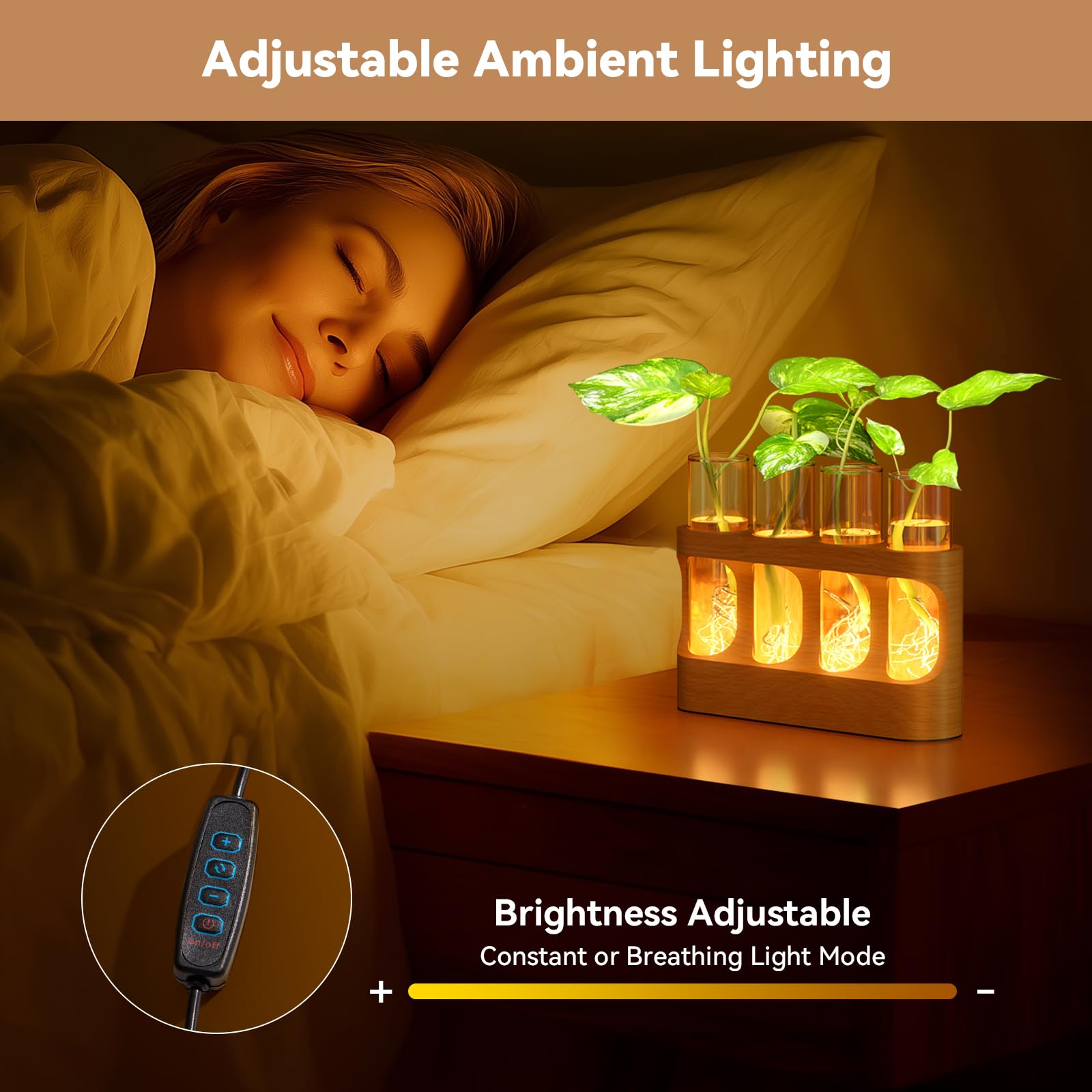 Plant Propagation Station with LED Lights