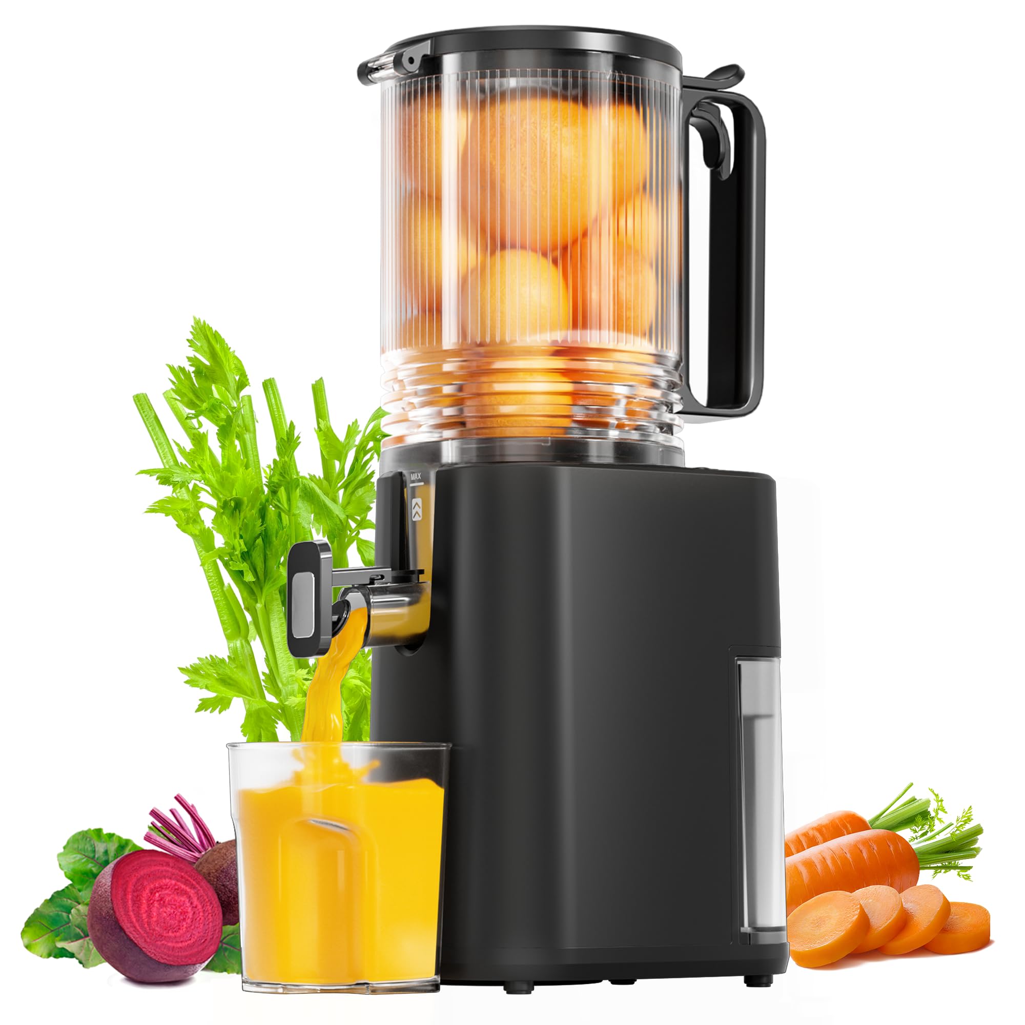 5.5inch Wide Feed Chute Juicer Machine, Slow Masticating Juicer