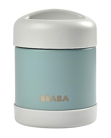 Steel Insulated Food Jar 10 oz, Kids Thermos, Lunch Containers