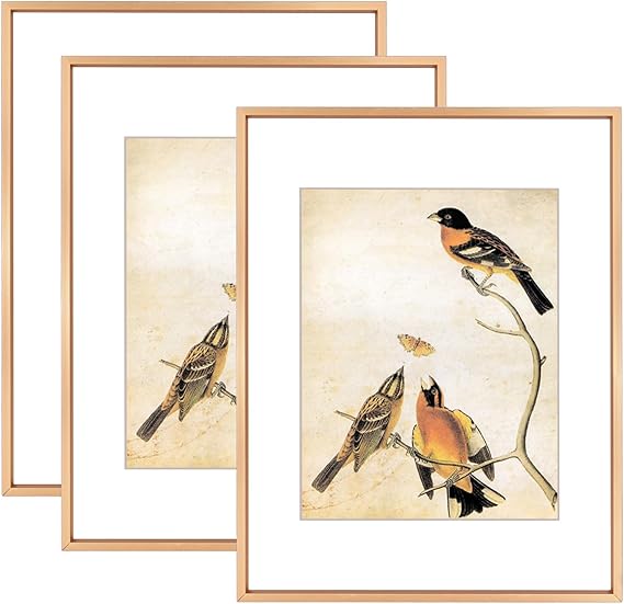 11x14 Picture Frame Set of 3, Brass Metal Photo Frames with HD Glass