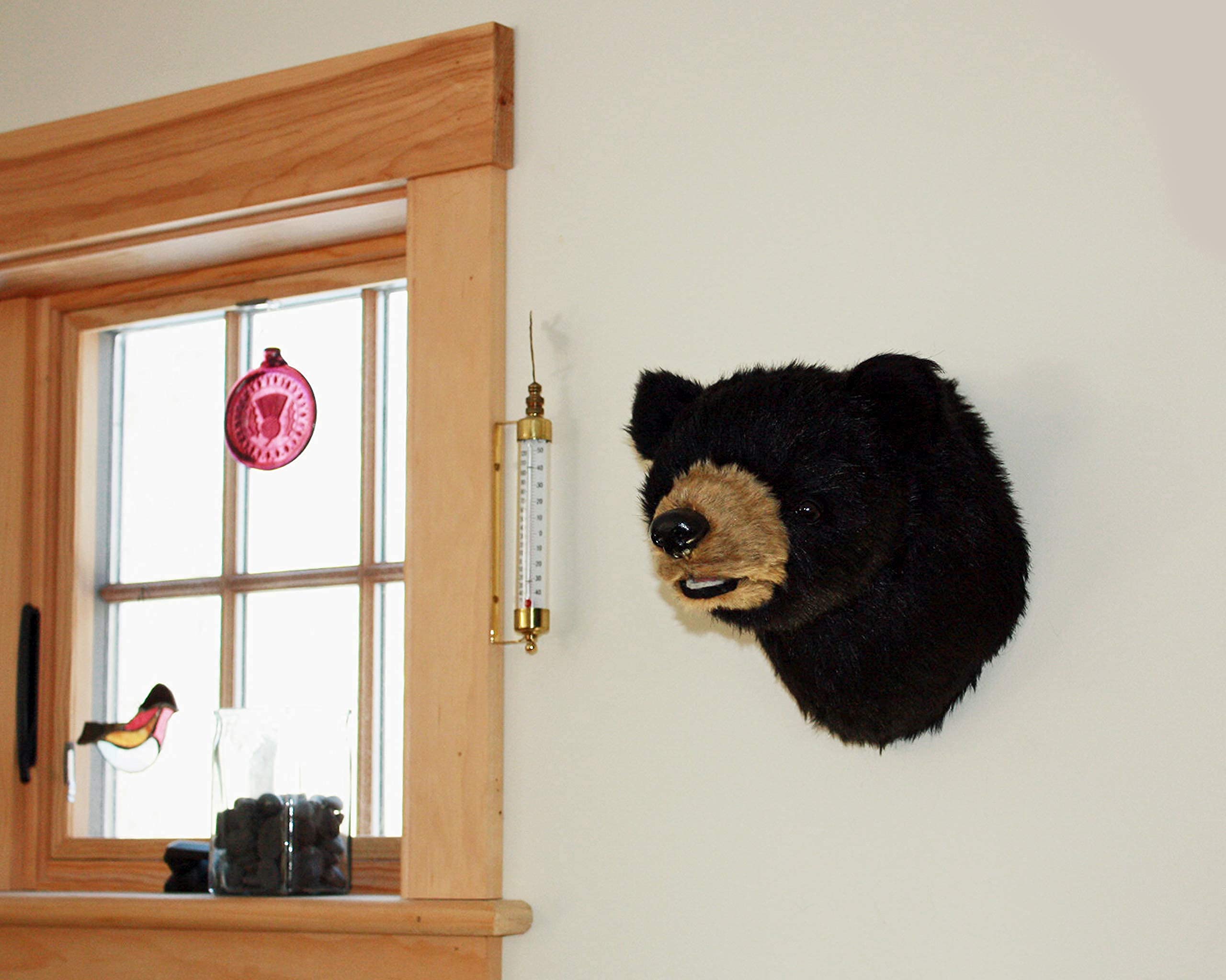 Bear Medium Plush Stuffed Animal Wall Mount
