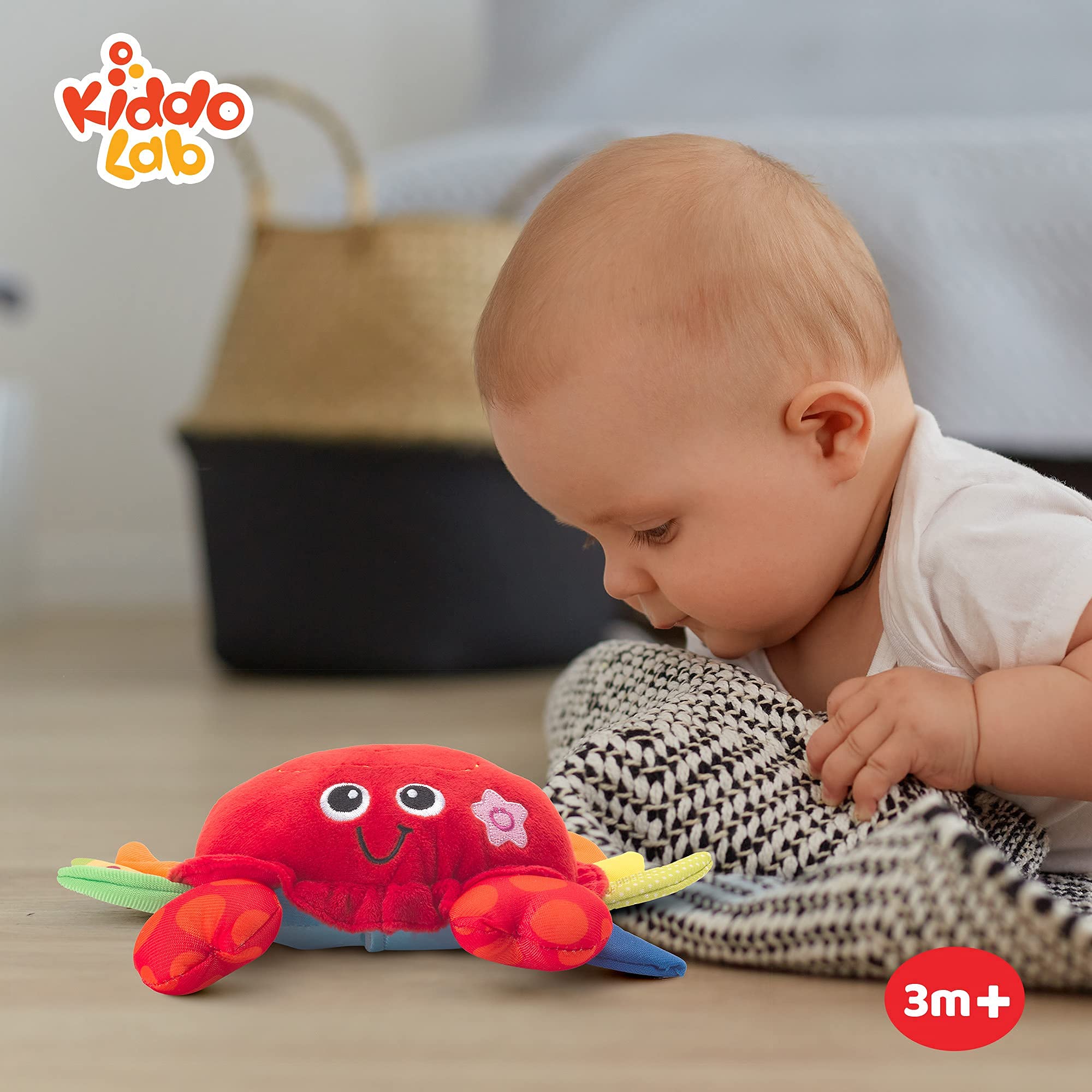 Baby Play Combo: Musical Plush Crab & Interactive Spin, Rattle, and Teether Toy - Fun