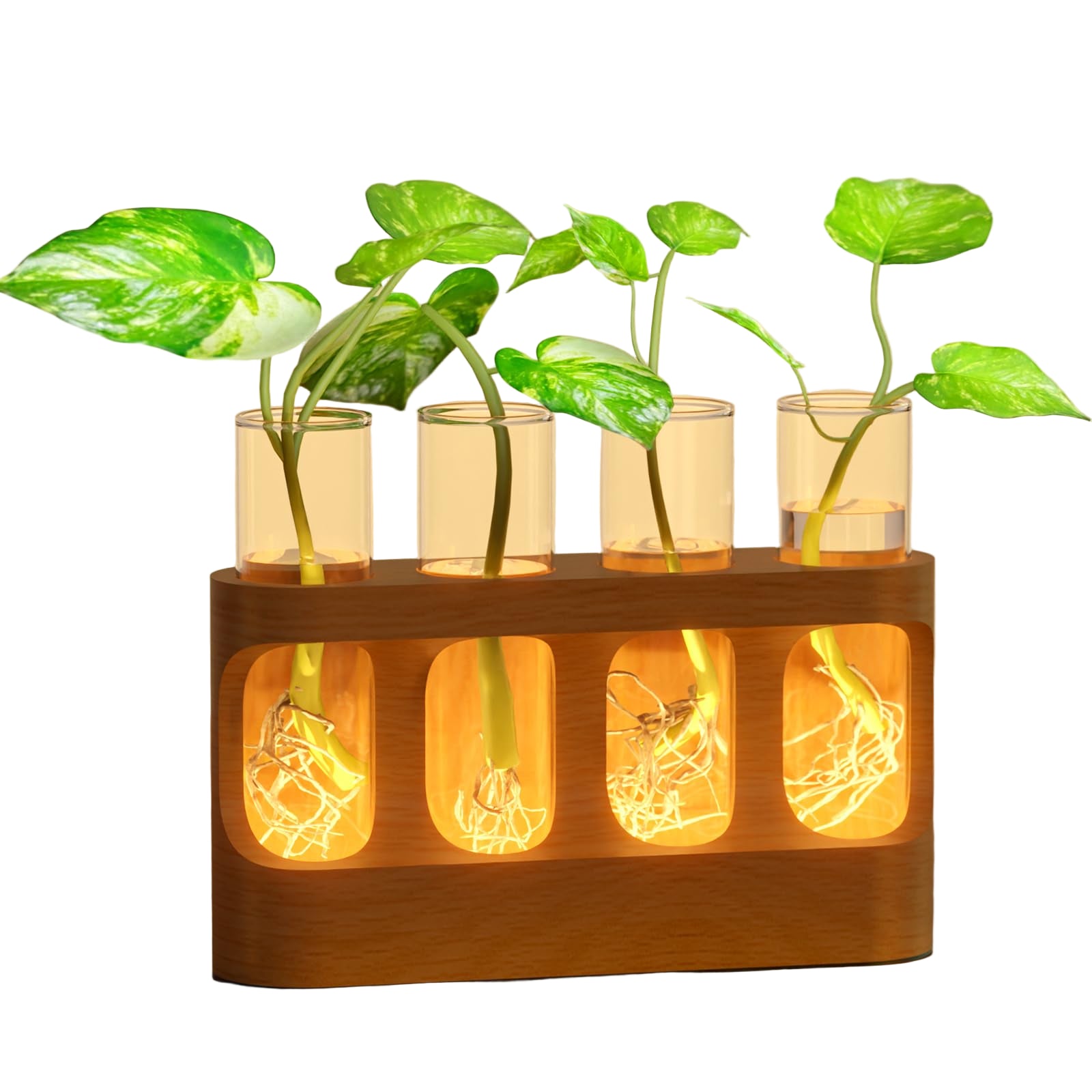 Propagation Station with 9-Speed Adjustable LED Lights, Plant Terrarium