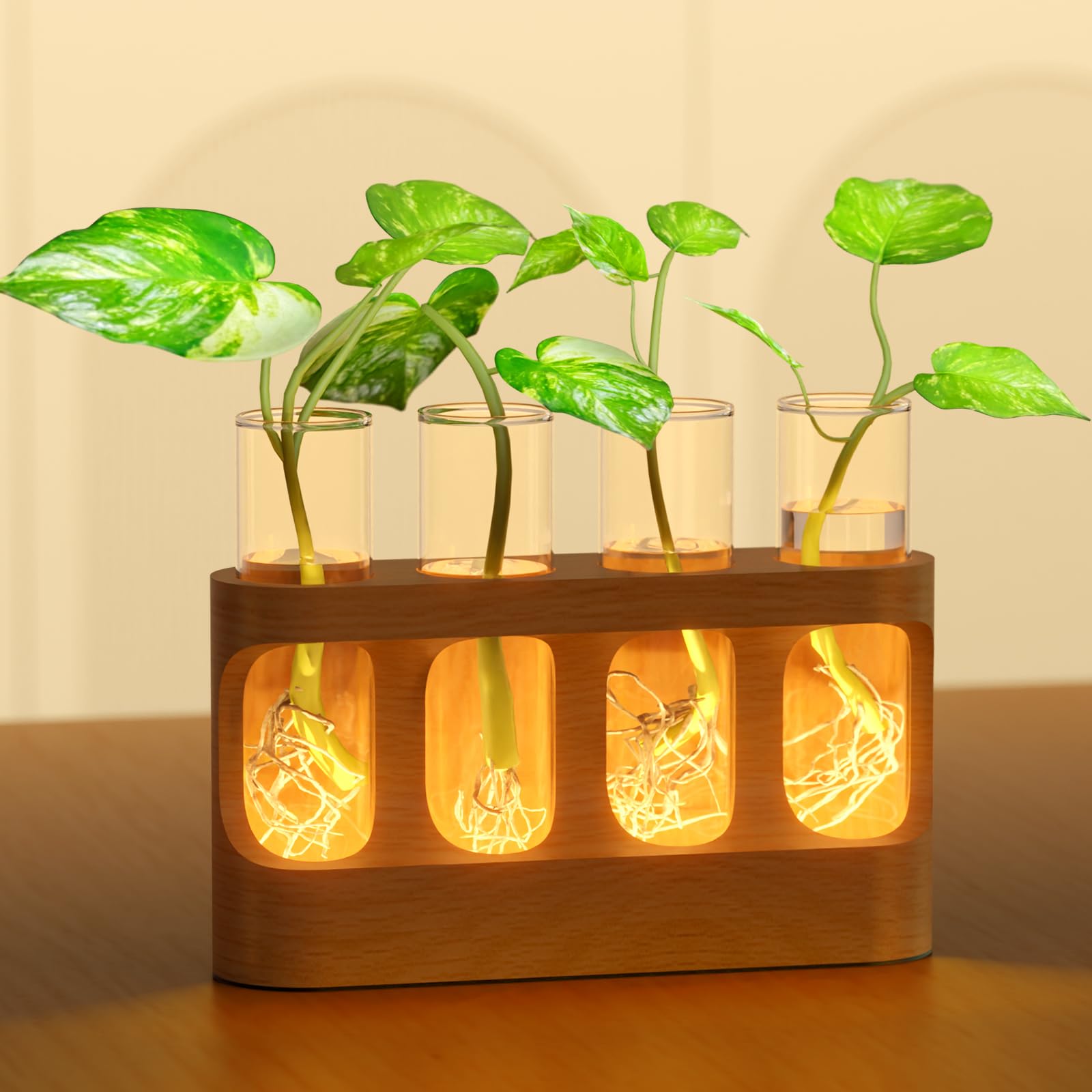 Plant Propagation Station with LED Lights