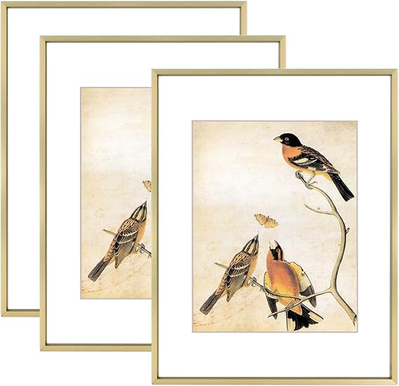 11x14 Picture Frame Set of 3, Brass Metal Photo Frames with HD Glass