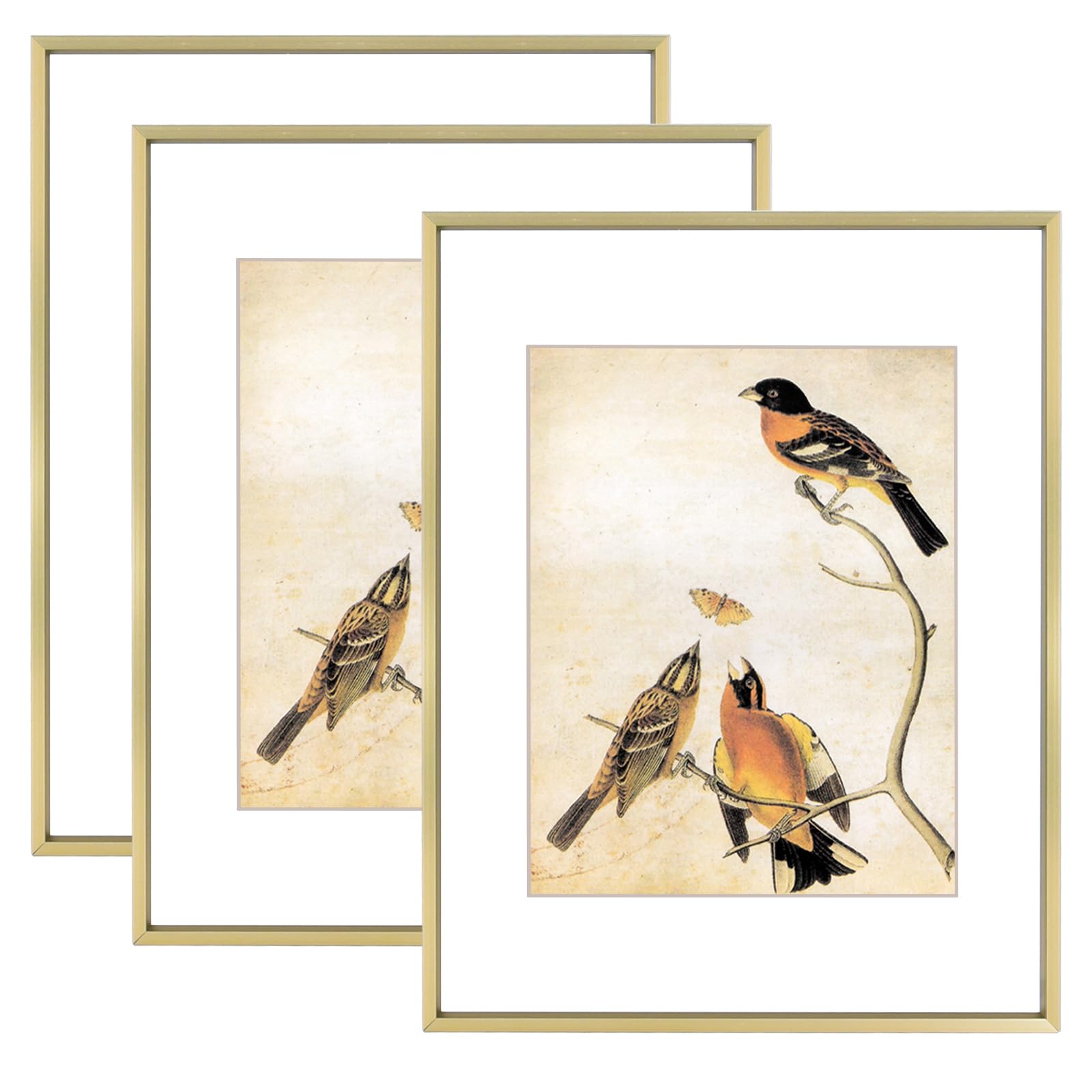 11x14 Picture Frame Set of 3, Brass Metal Photo Frames with HD Glass
