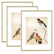 11x14 Picture Frame Set of 3, Brass Metal Photo Frames with HD Glass