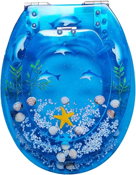 Toilet Seat with Quick-Release Soft Close, 2 In 1 Potty Training