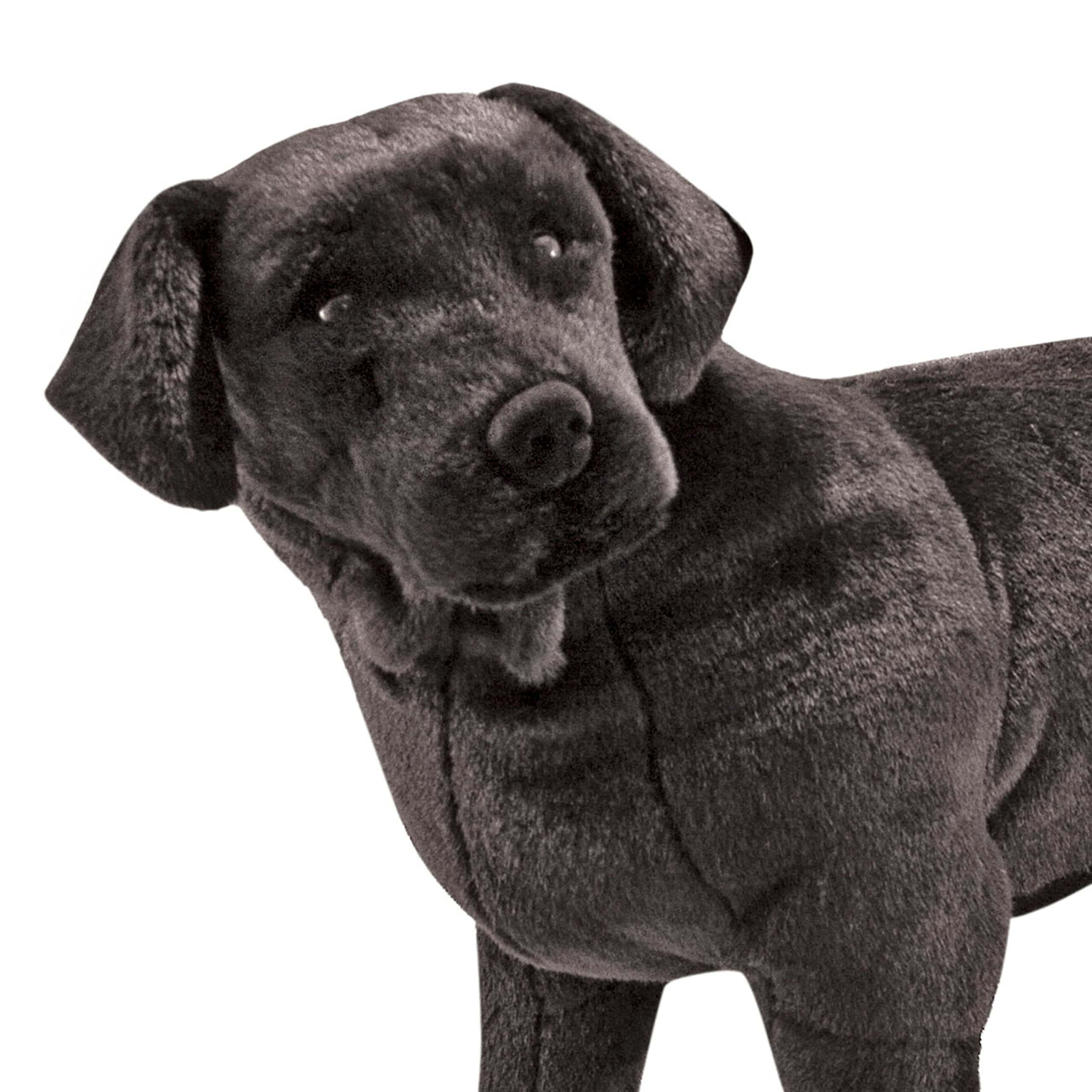 Giant Black Lab - Lifelike Stuffed Animal Dog (over 2 feet tall)
