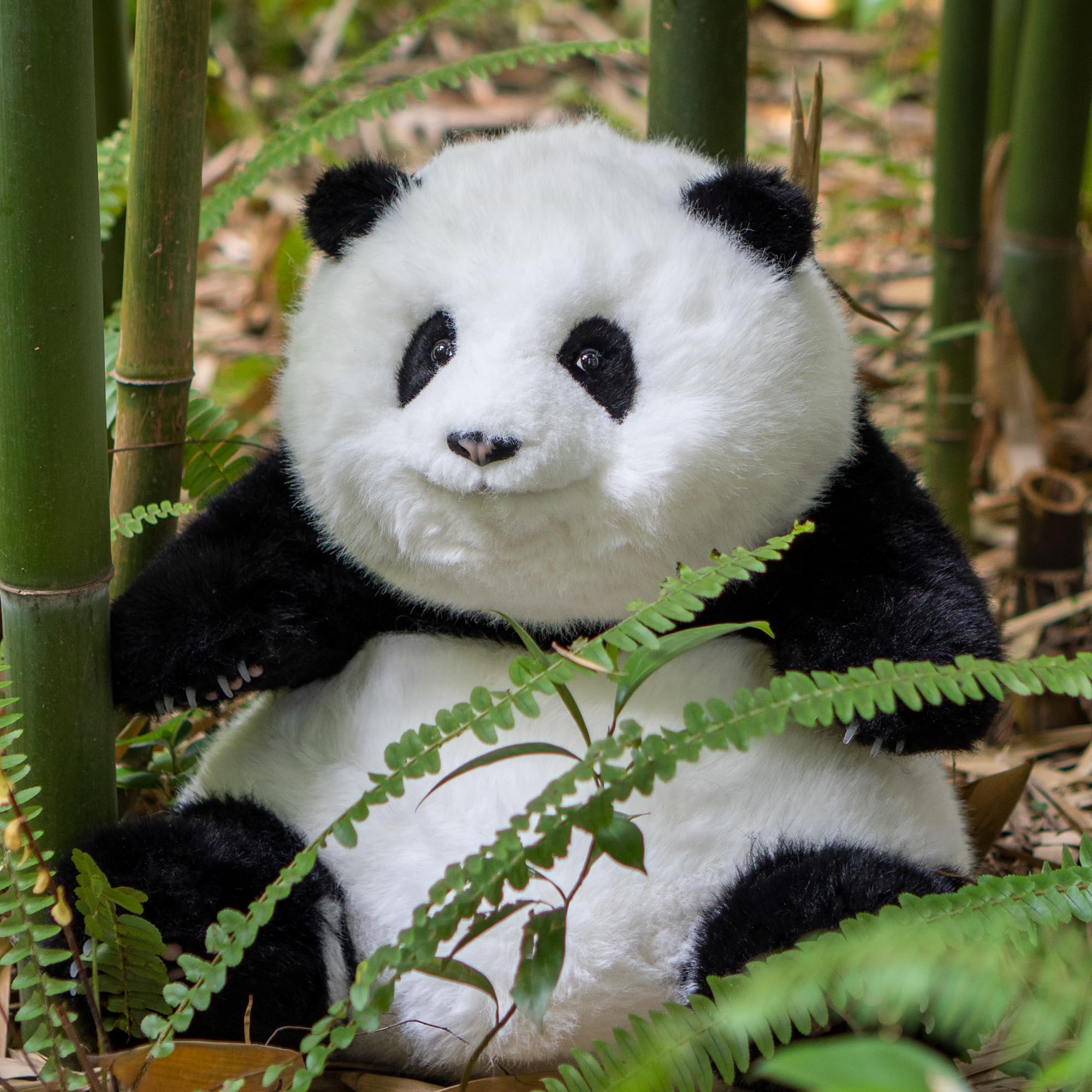 Weighted Panda Stuffed Animals, Panda Plush for Companion “HeHua”