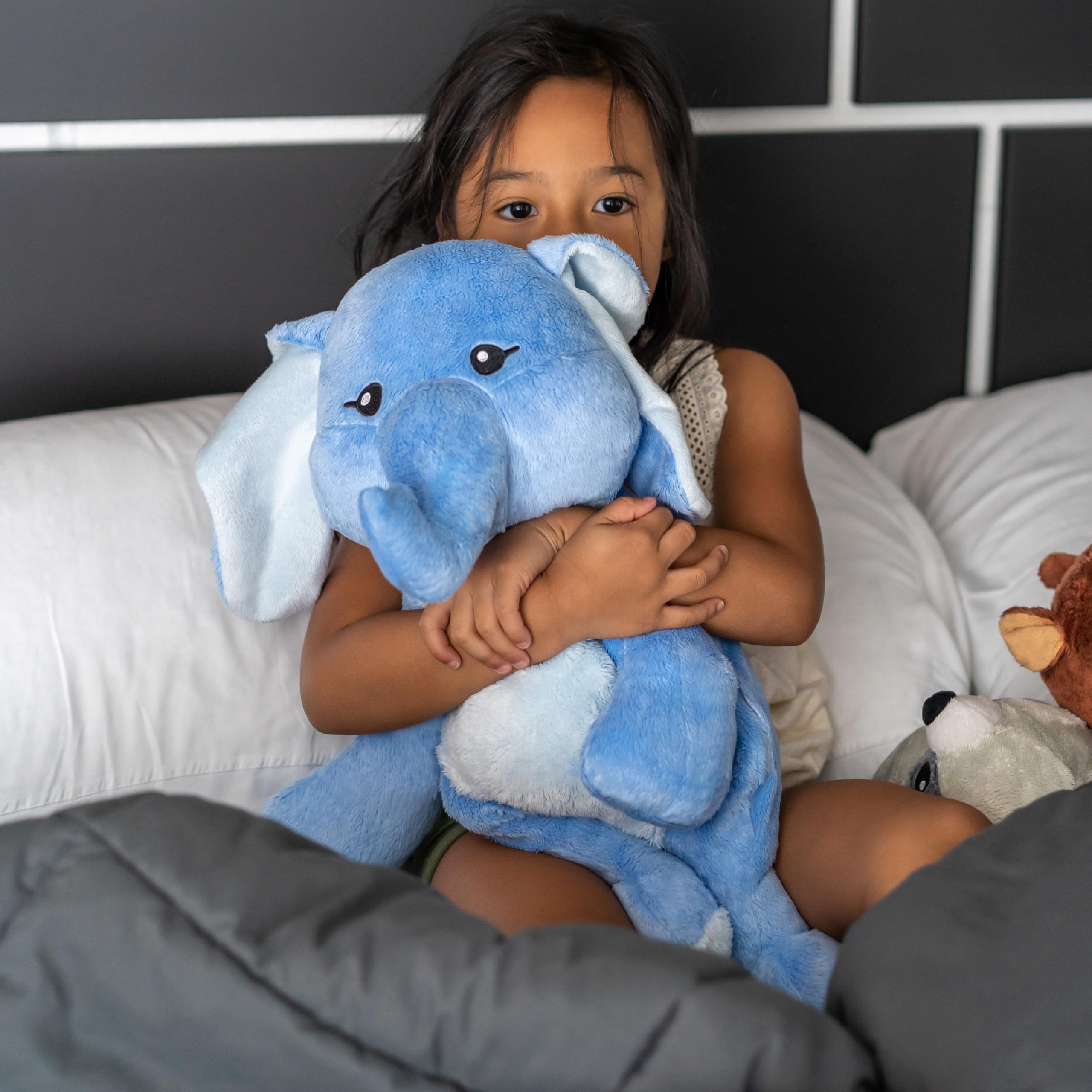 3-Pack Sam The Sloth, Emory The Elephant