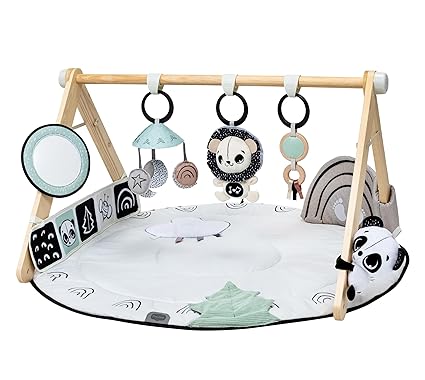 Love Boho Chic Gymini with Mirror and Detachable Toys, Wall Mount