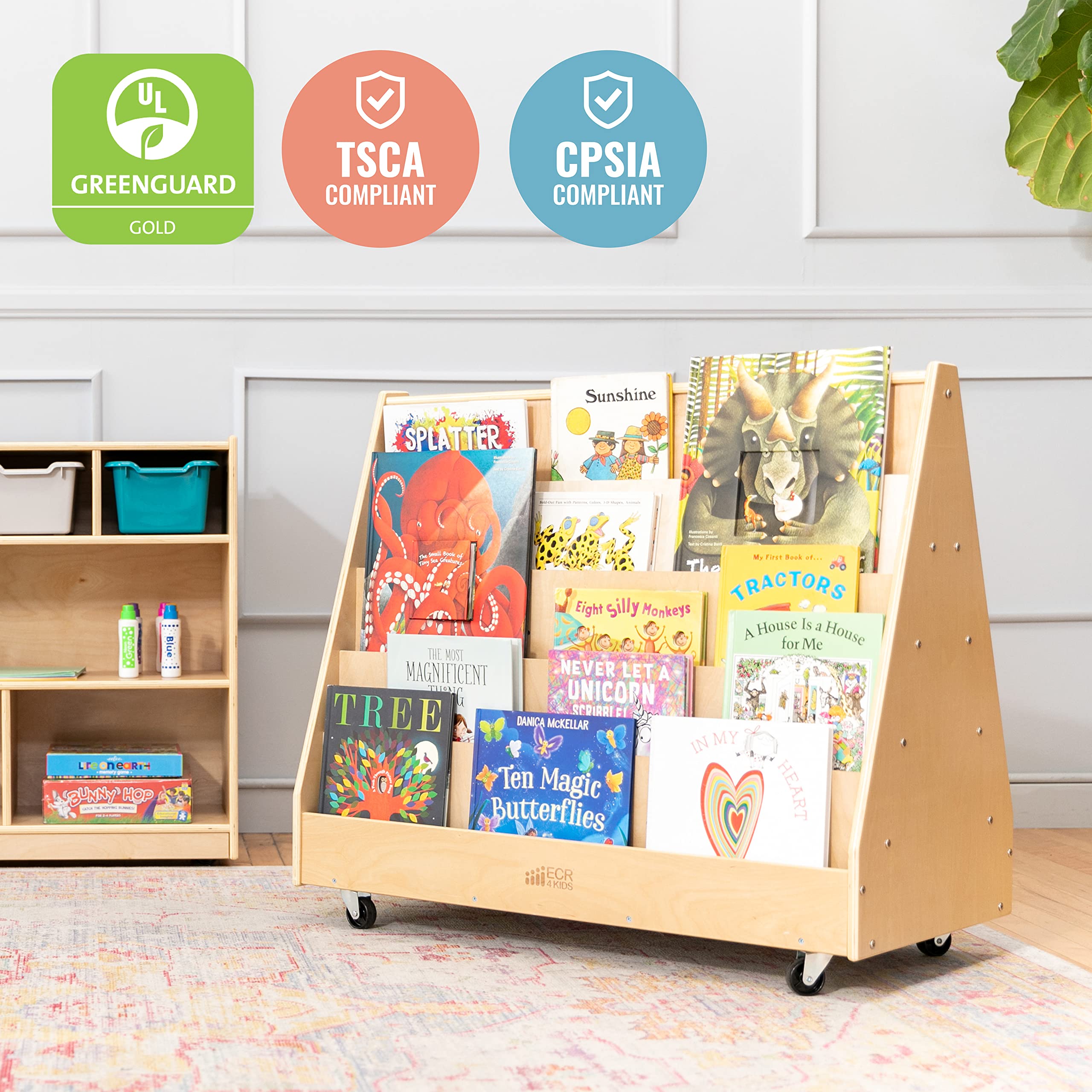 Double-Sided Mobile Book Display for Kids