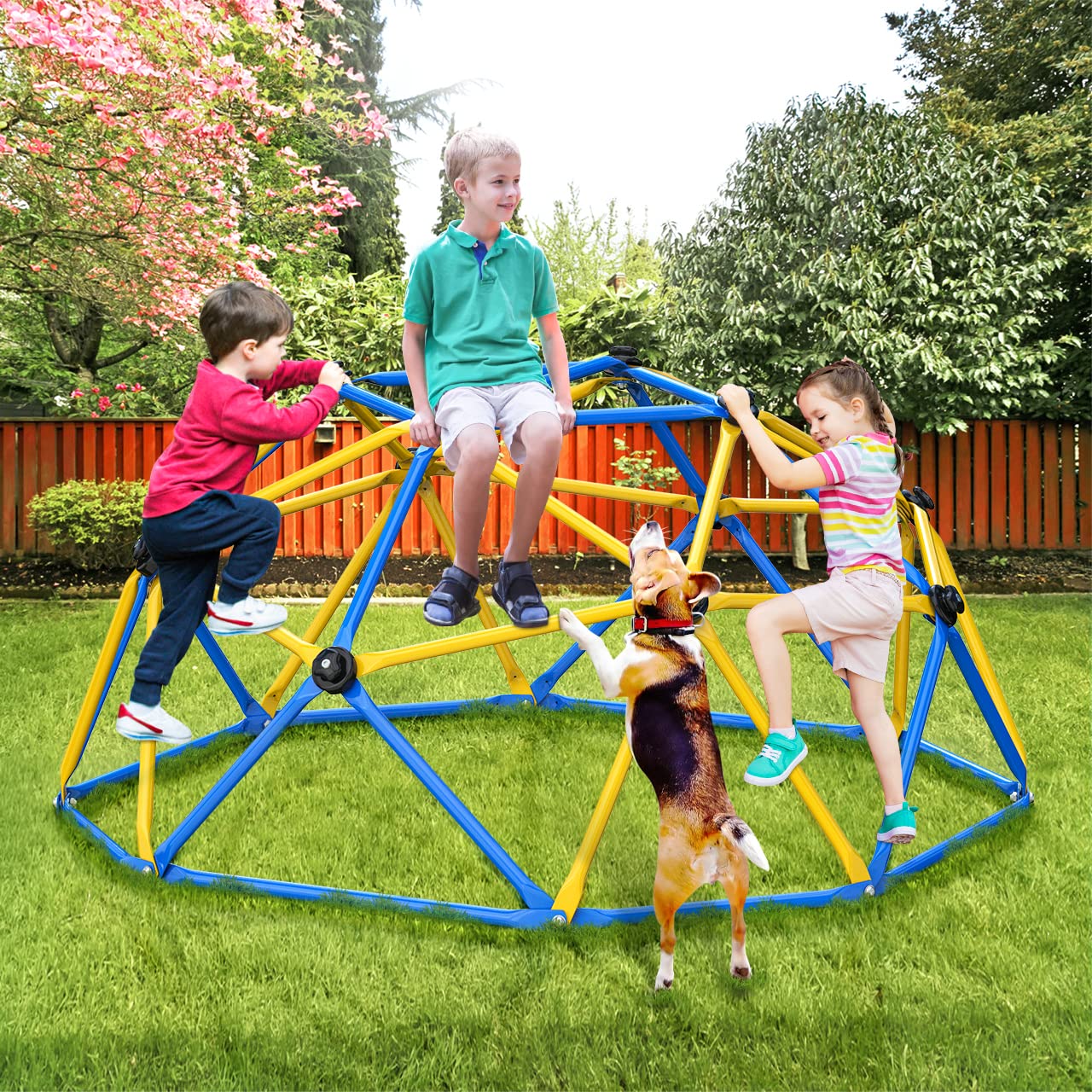 6FT Geometric Dome Climber with Safety Grips