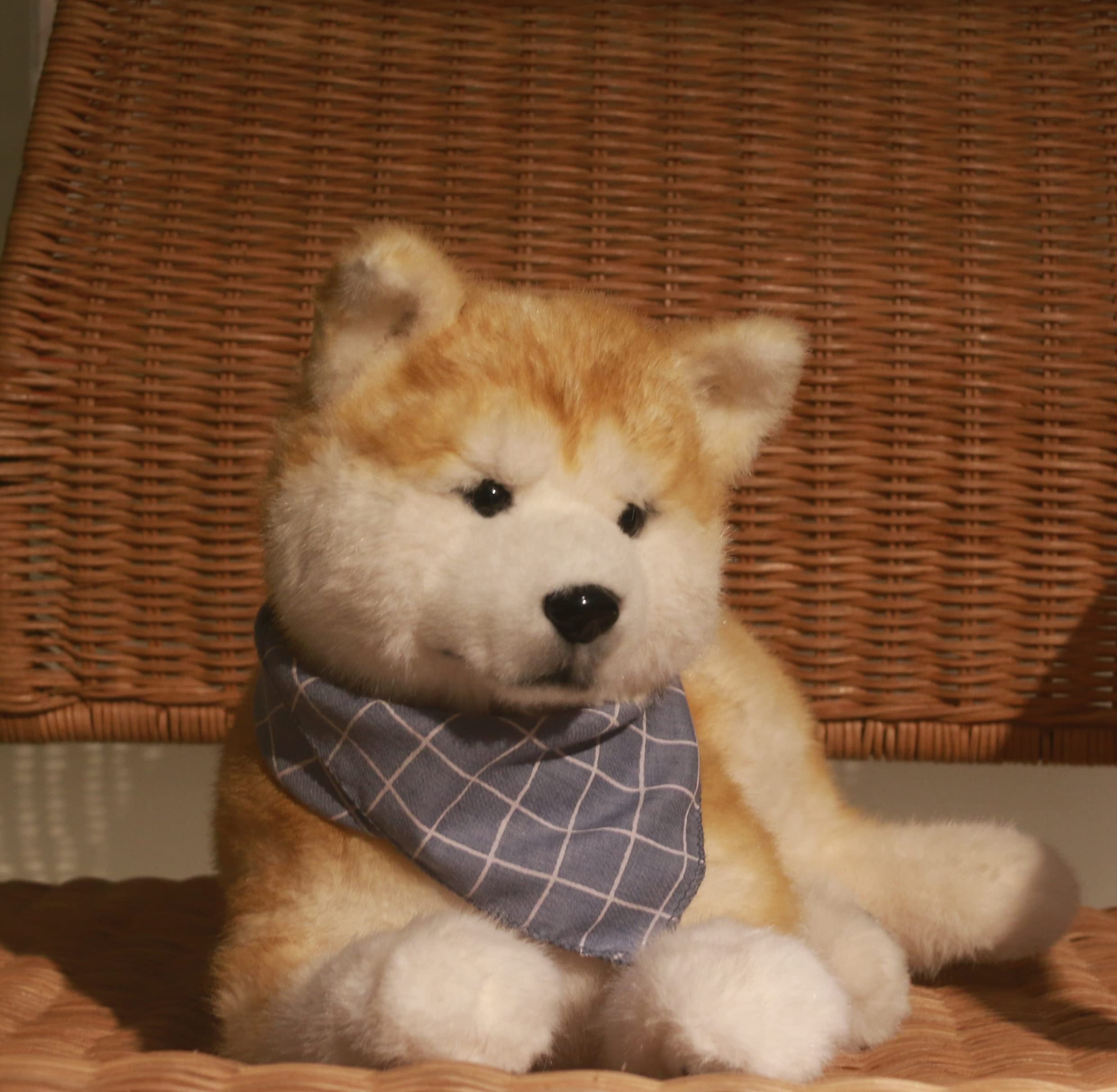 Puppy Stuffed Animals, Soft Dog Plush Toys, Cute Stuffed Dog Plush Puppy Plush