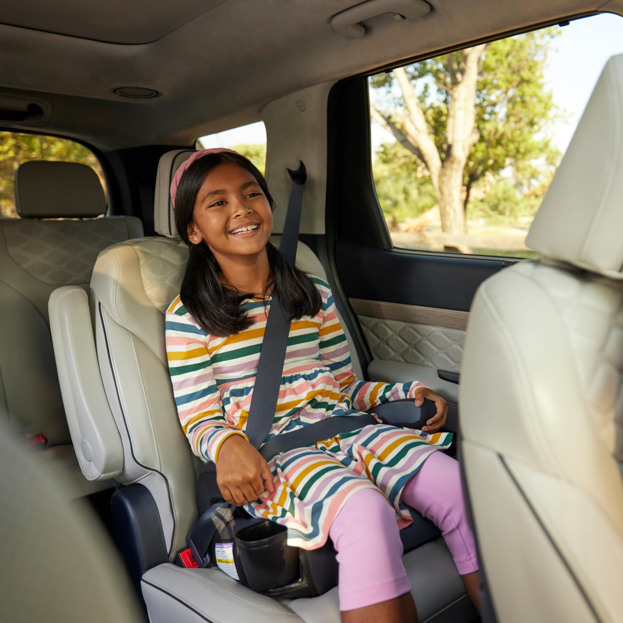 Grow and Go 2-in-1 Booster Car Seat with ComfortWings, Converts High-Back