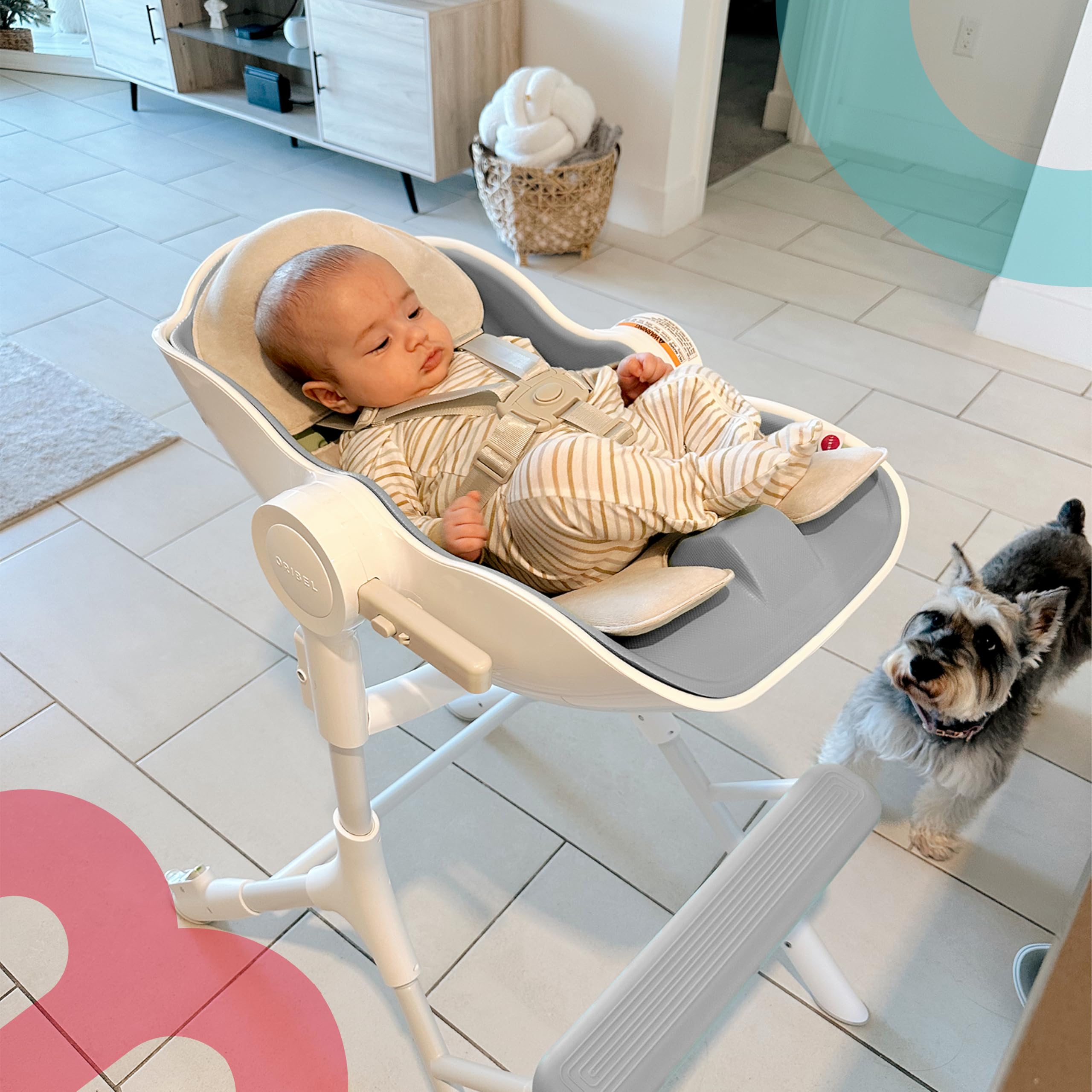 Convertible High Chair with Lounger Mode for Newborn to Toddler