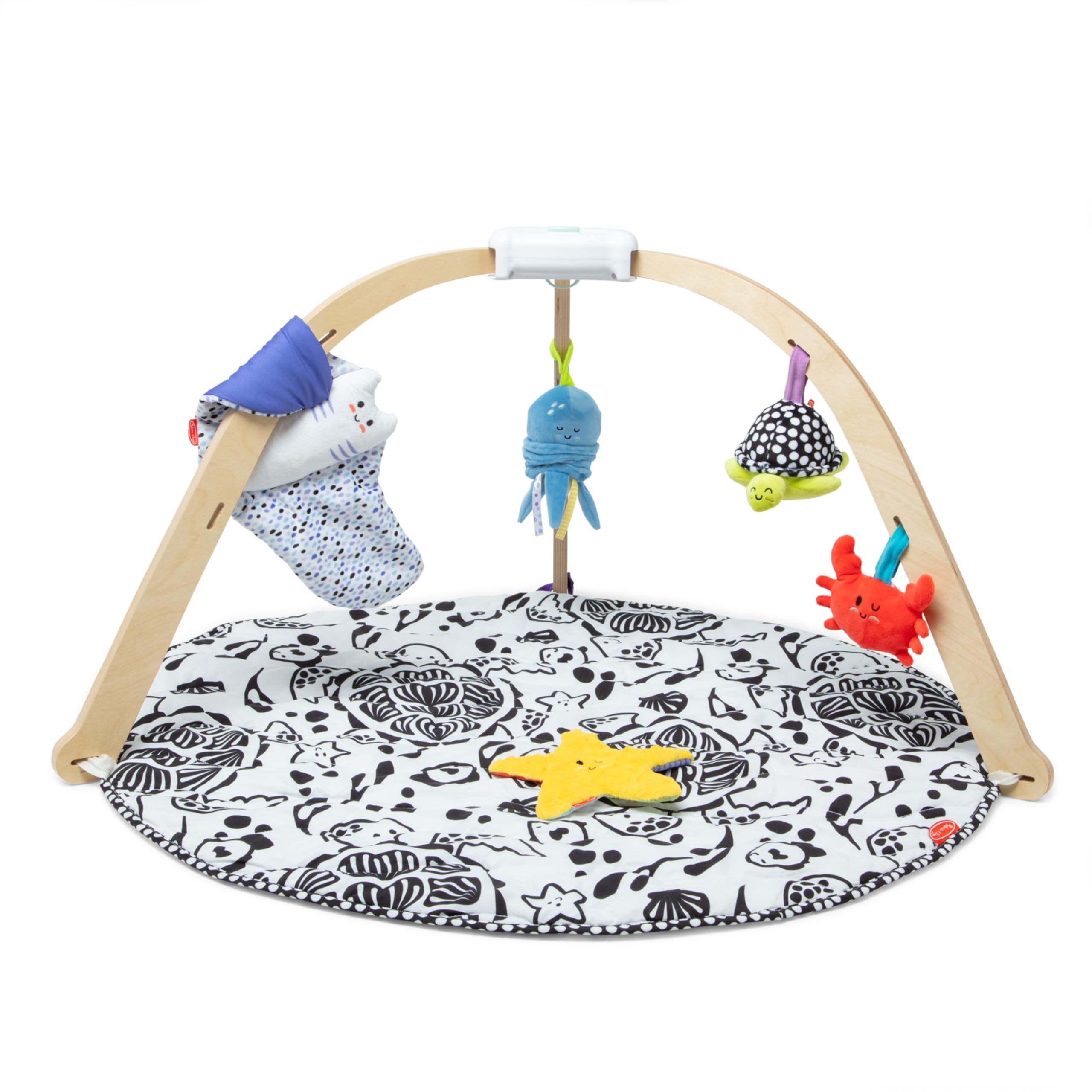 Ocean Easy-Fold Wooden Play Gym for Infants, Reversible Mat, 5 Soft Toys