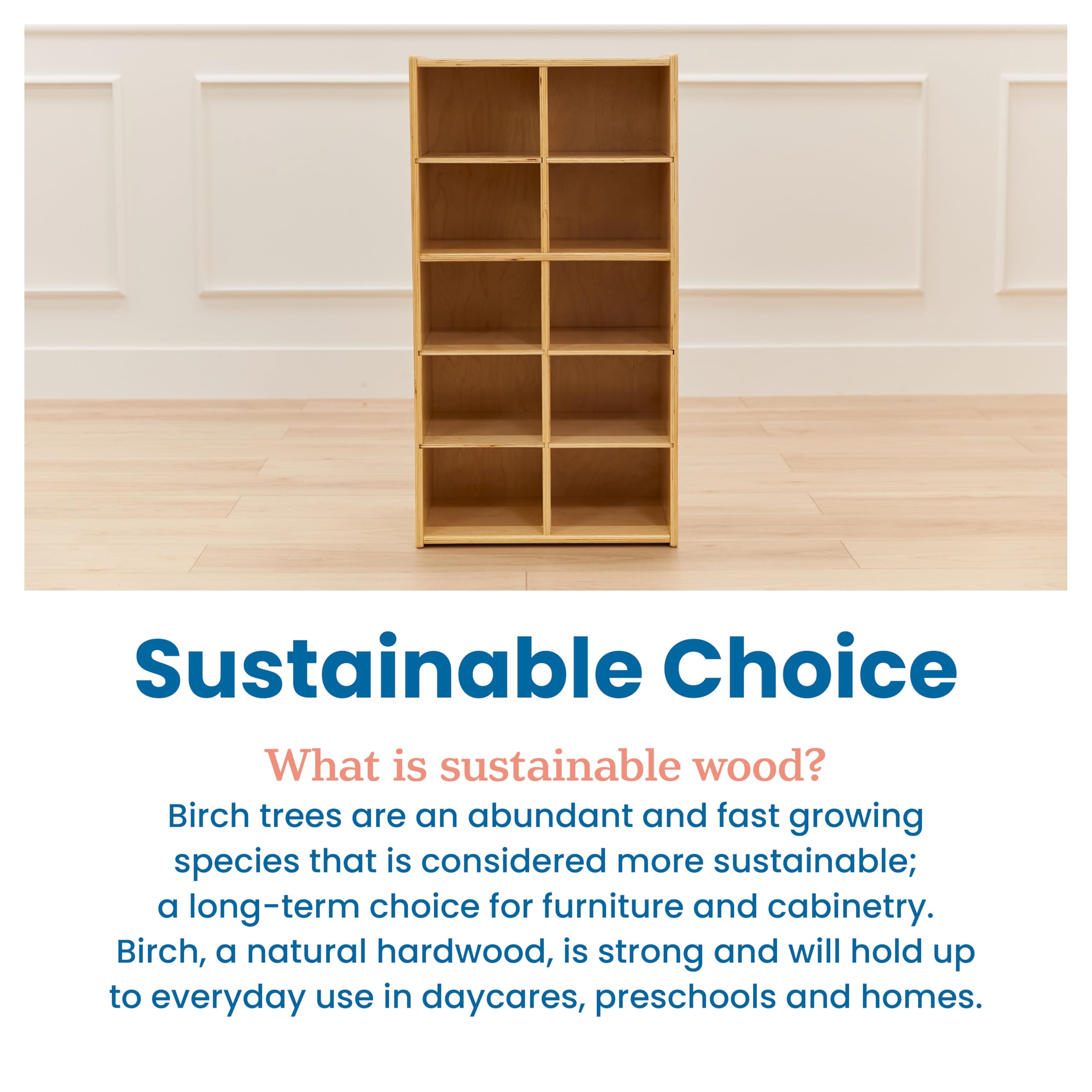 10 Cubby Storage Cabinet for Classroom Organization