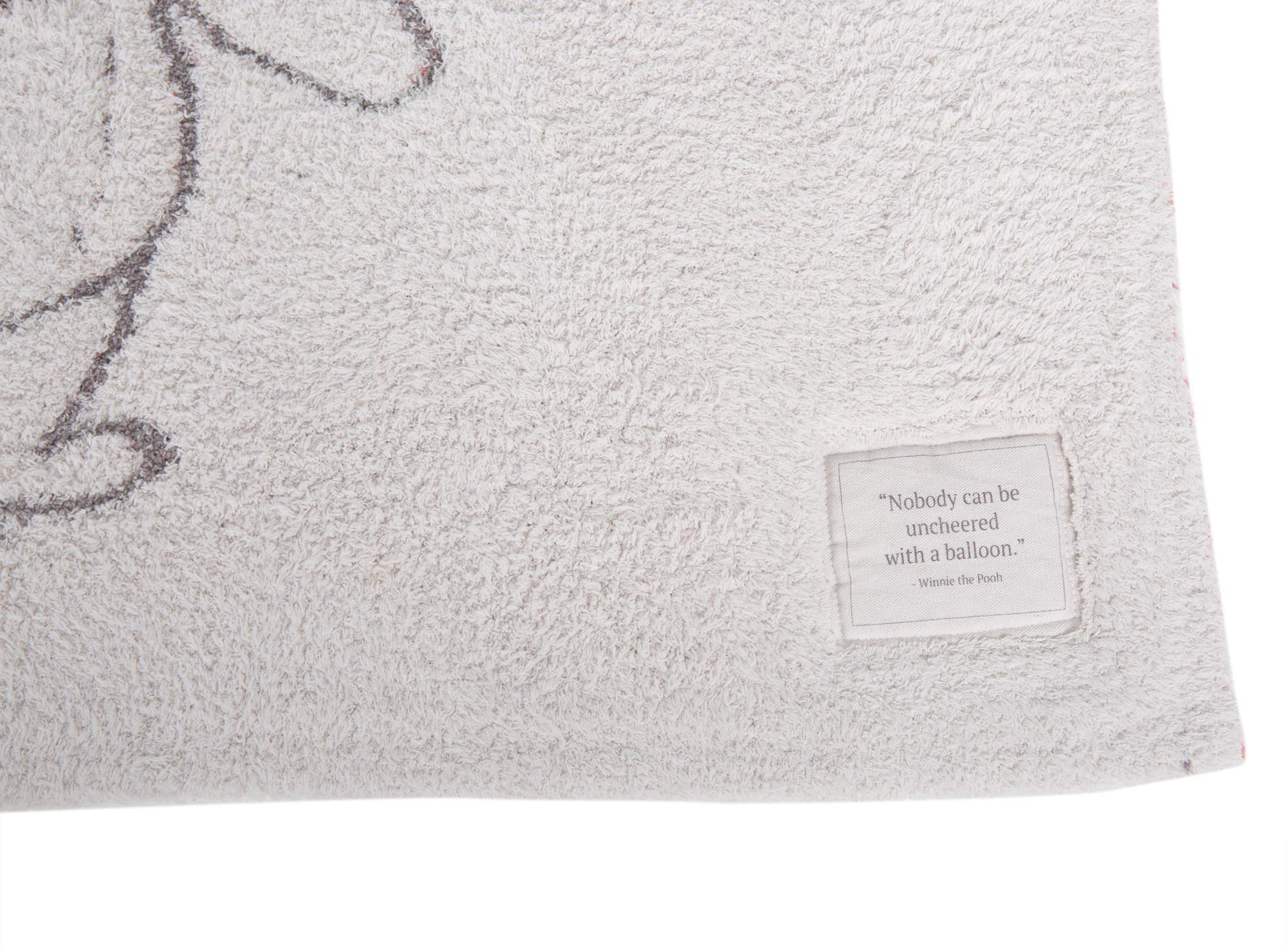 The CozyChic Disney Winnie The Pooh Blanket, Multicolor Throw
