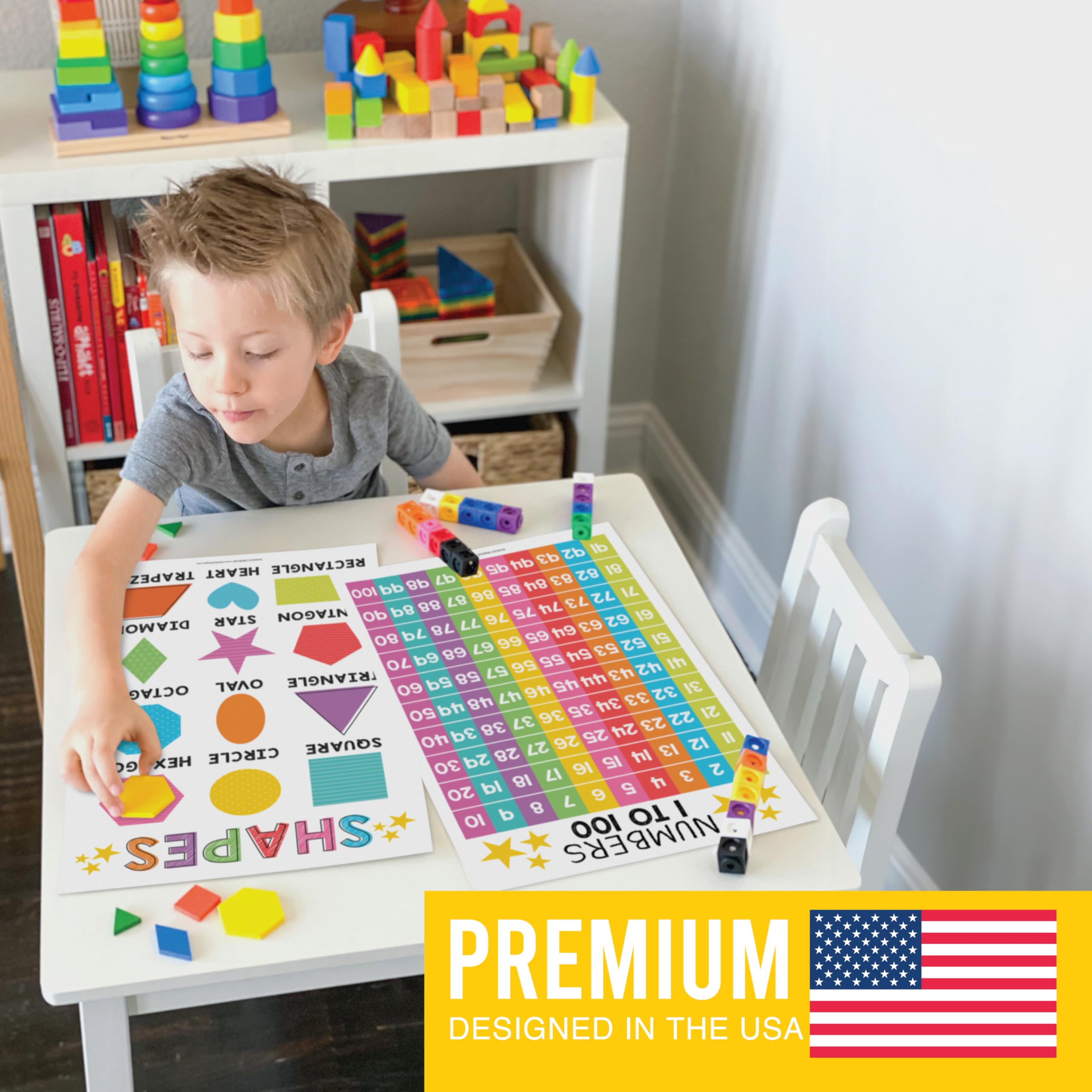 Educational Posters for Toddlers and Kids 16-Pack Laminated