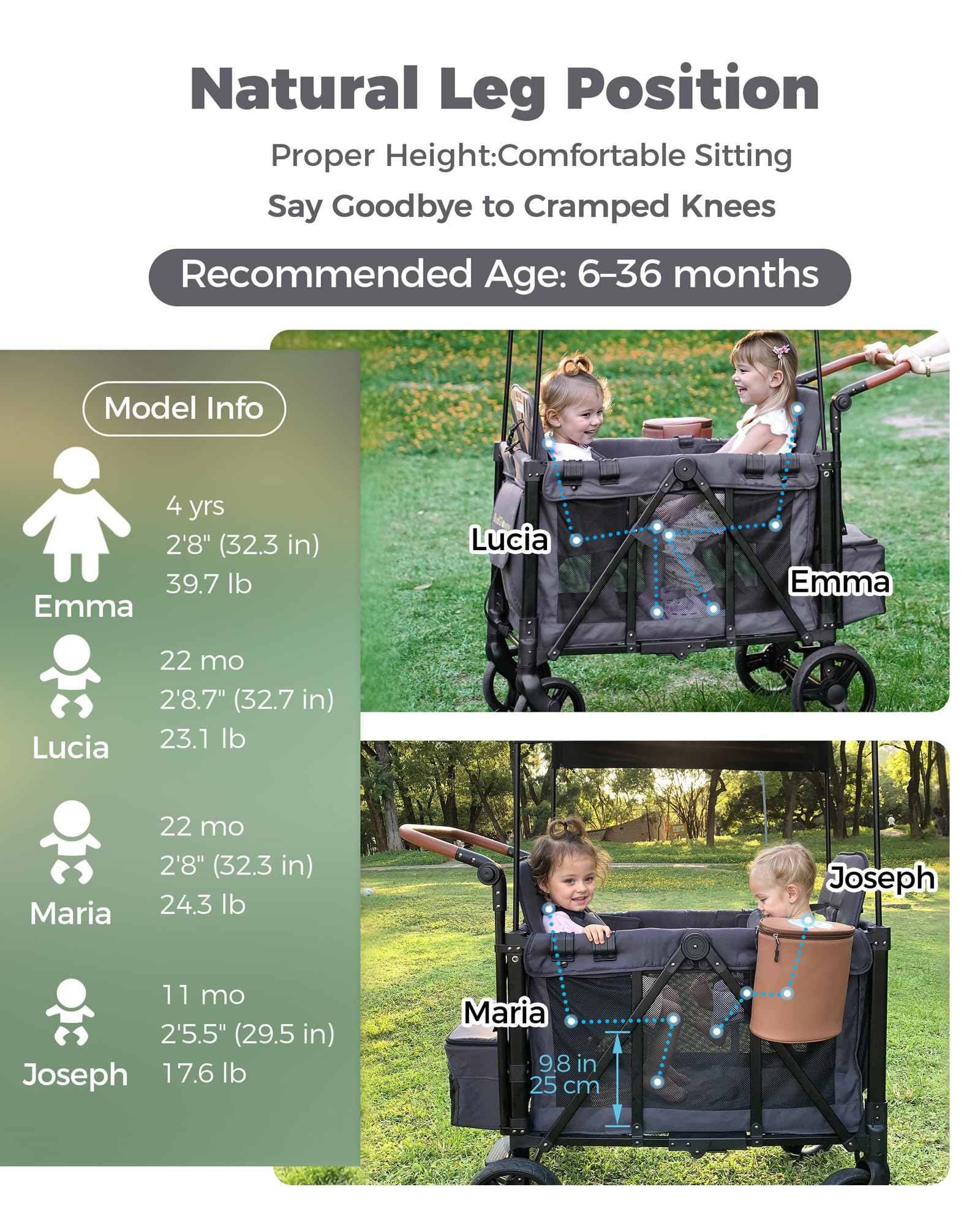 Double Wagon Stroller for 2 Kids with Canopy