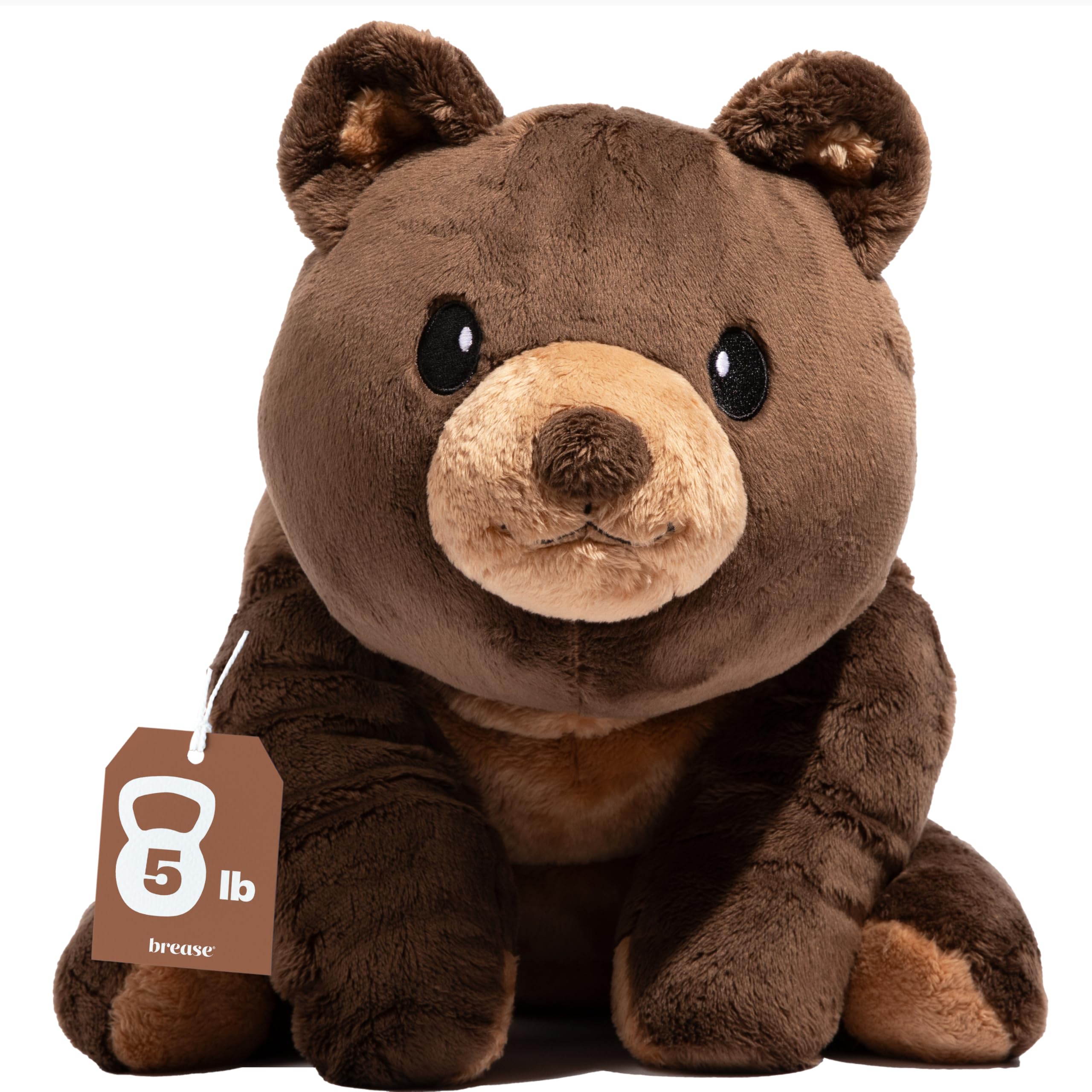 5 lb Unscented Weighted Brown Teddy Bear Plush Toy