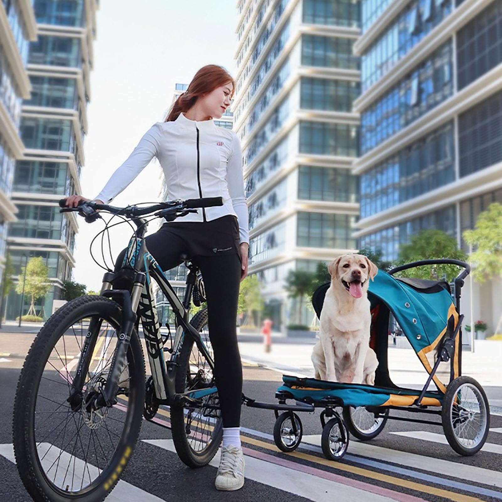 Dog Bike Trailer,Wild Travel Pet Stroller,Portable Bicycle Trailer,Cart Carrier,360°