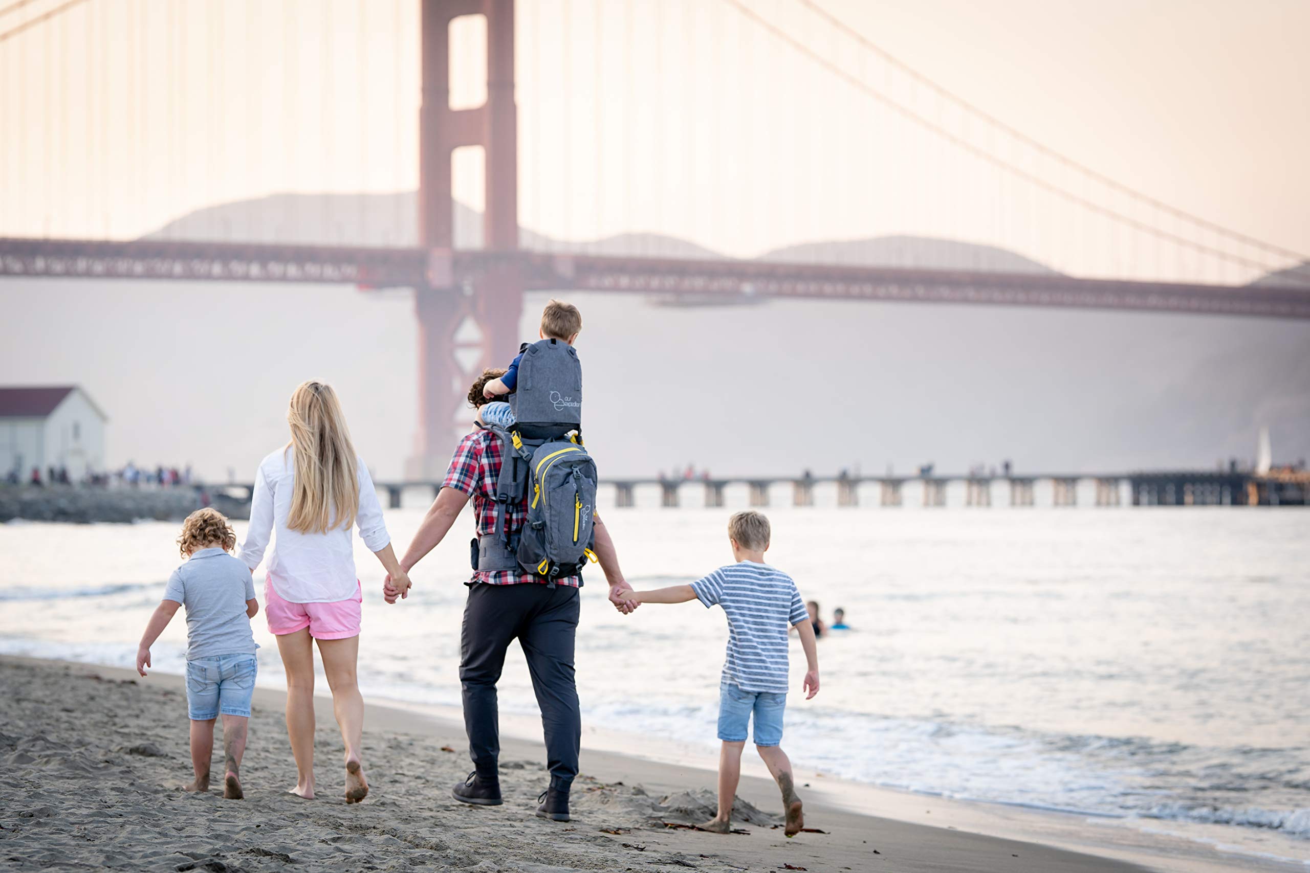 Shoulder Hiking Carrier for Child and Toddler with Sunshade and Detachable Backpack