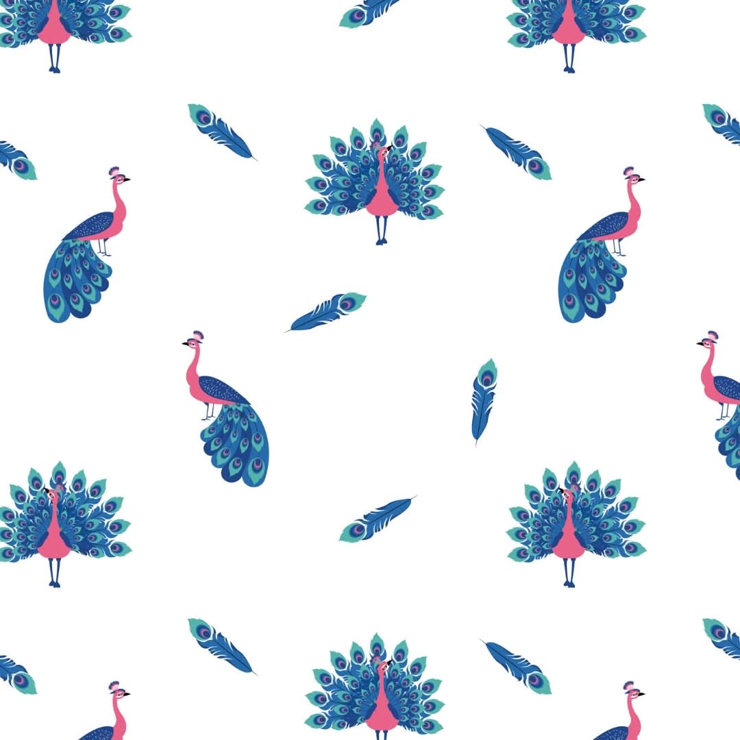Peacock | Long Sleeve Bodysuit
