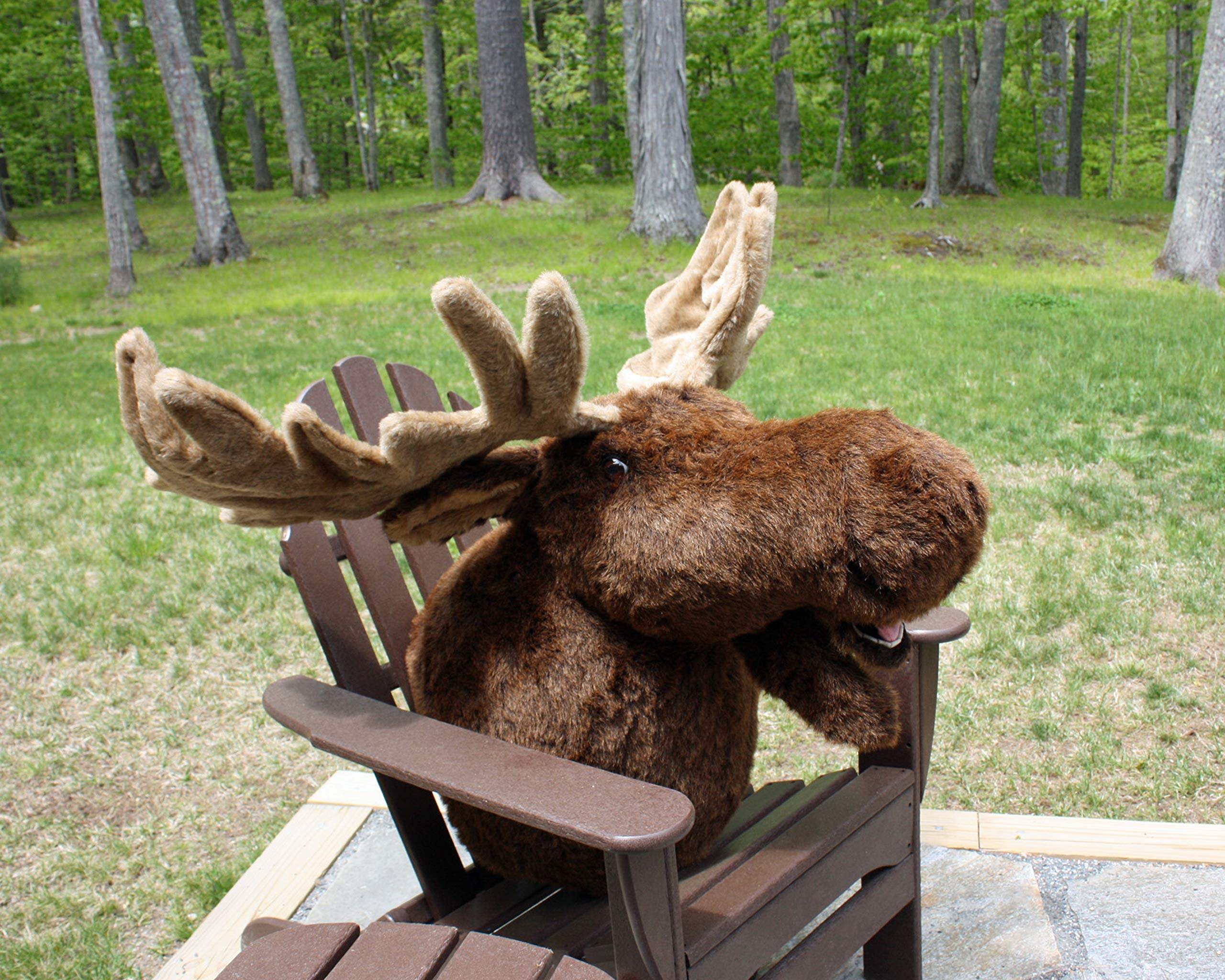 Moose Largest Plush Stuffed Animal Wall Mount