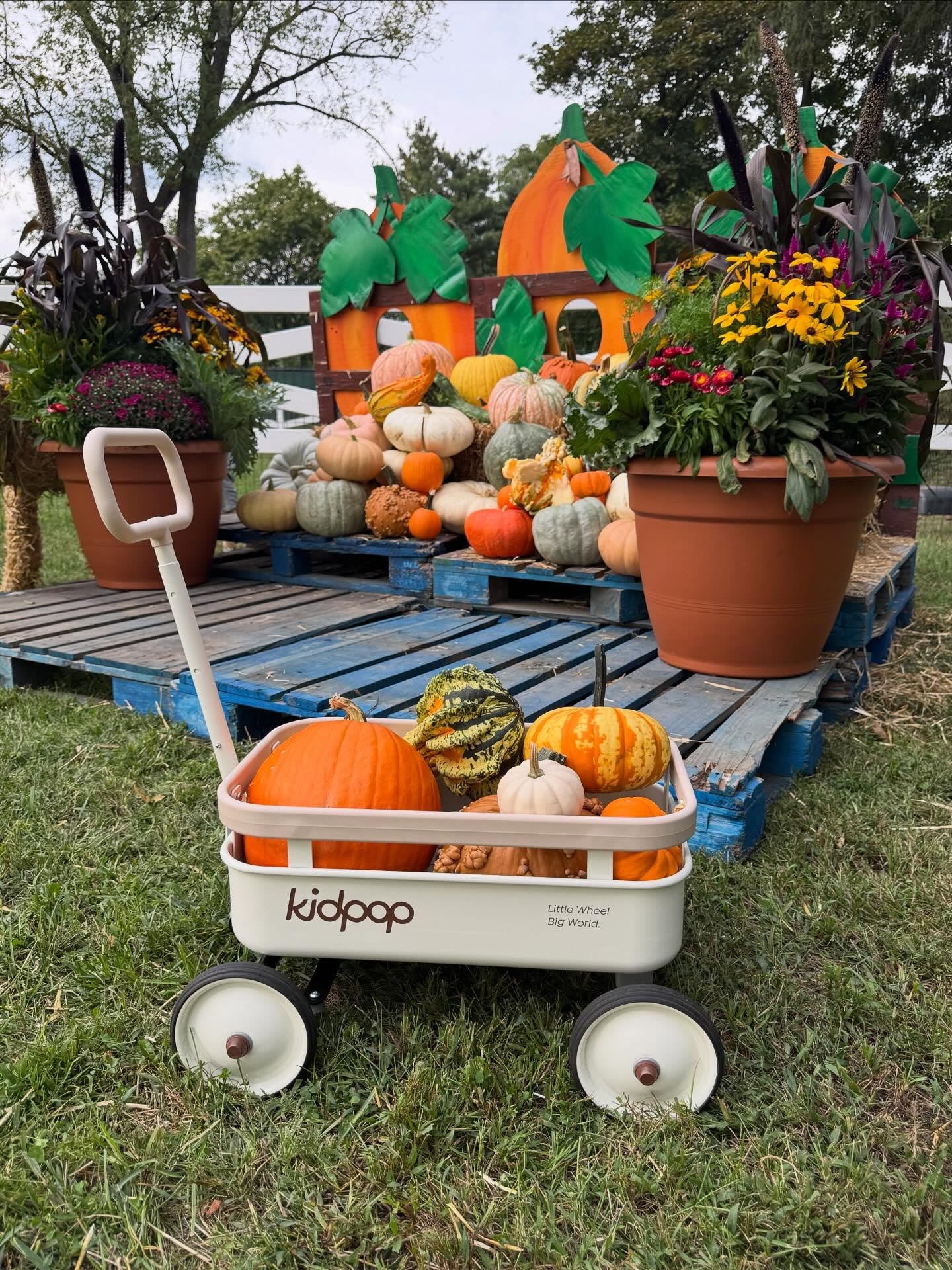 3-in-1 Kids Pull-Along Wagon Push Walker