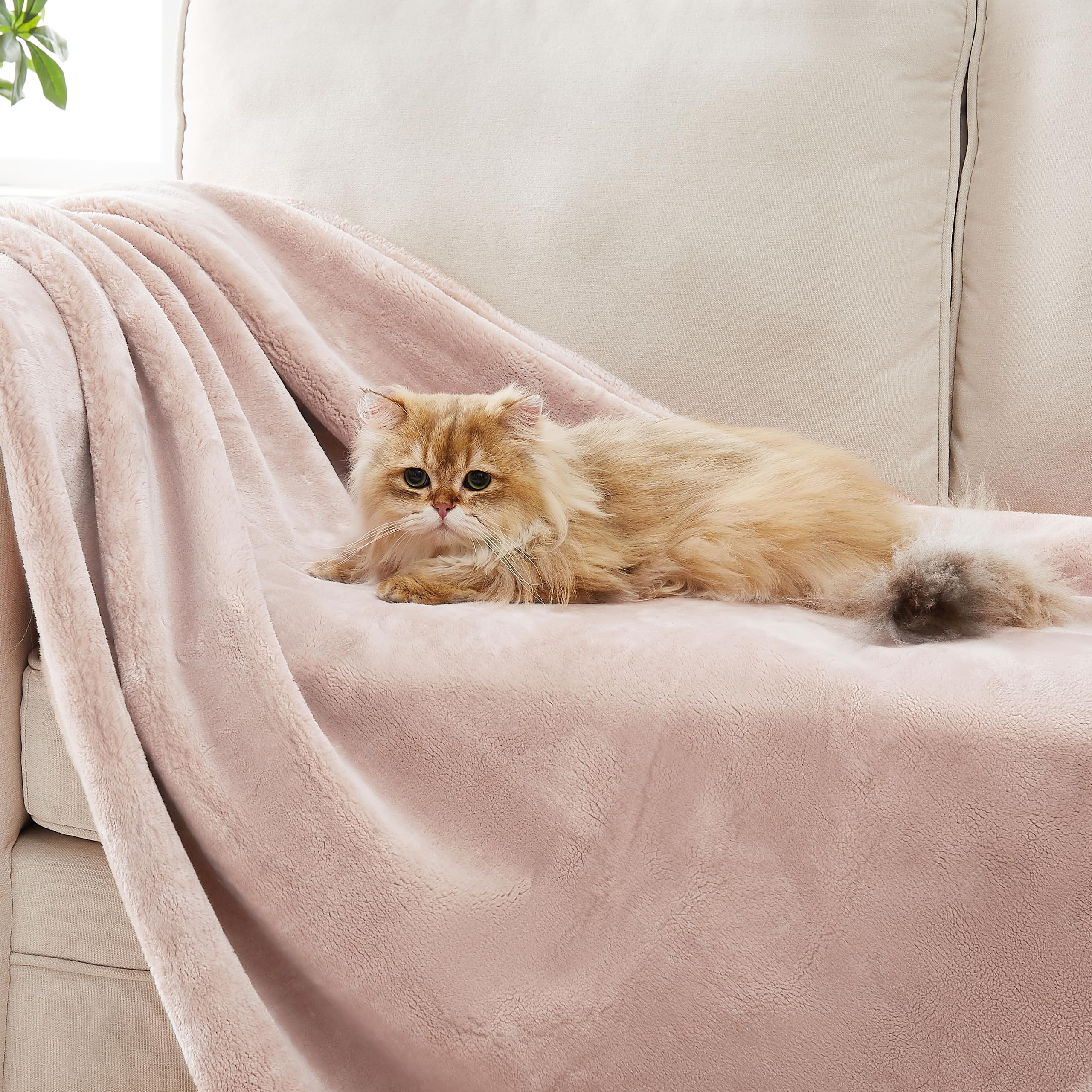 Plush Fleece Throw Blanket 50x70 Inch Soft Hypoallergenic Pink
