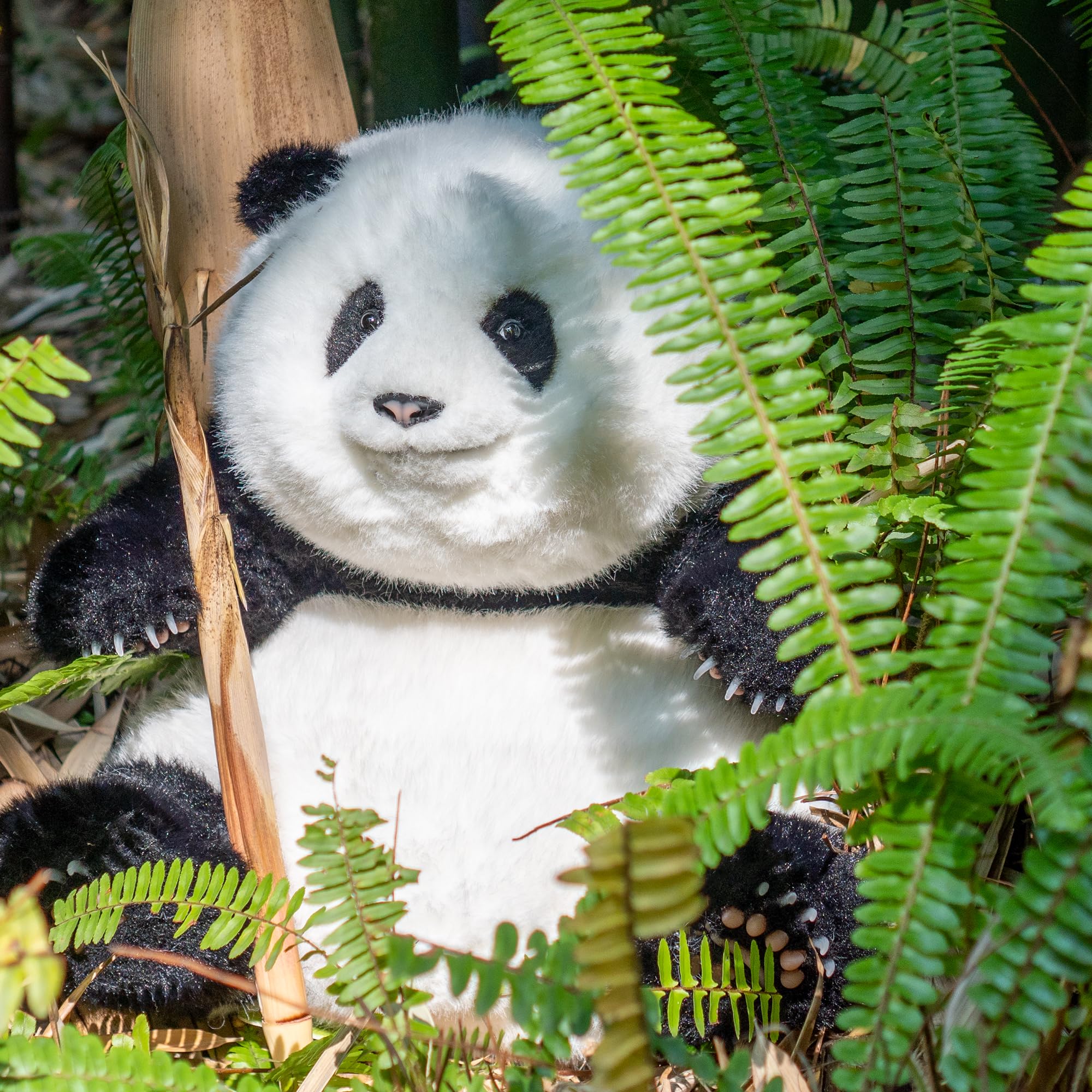 Weighted Panda Stuffed Animals, Panda Plush for Companion “HeHua”