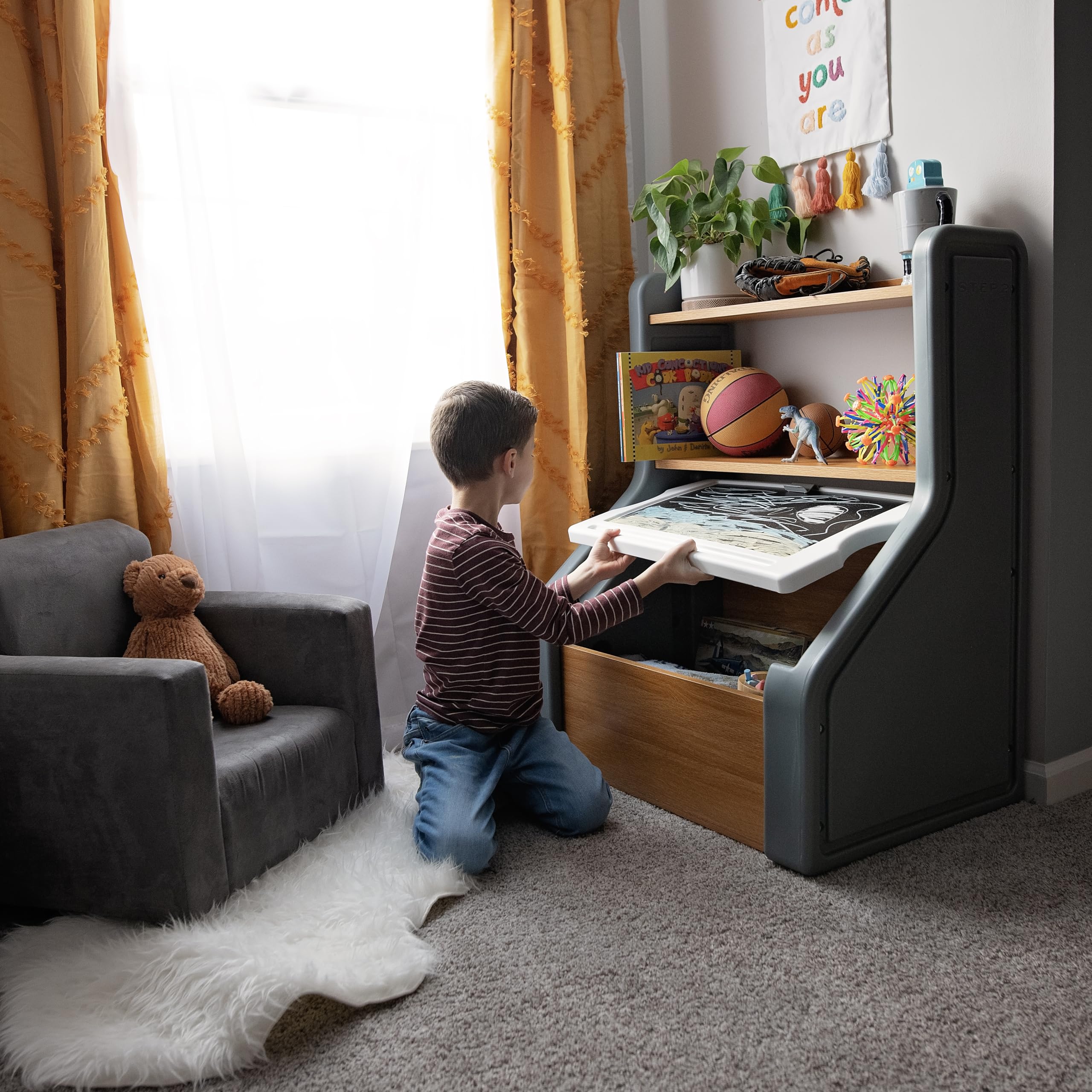 Harmony Toy Storage Box with Chalkboard