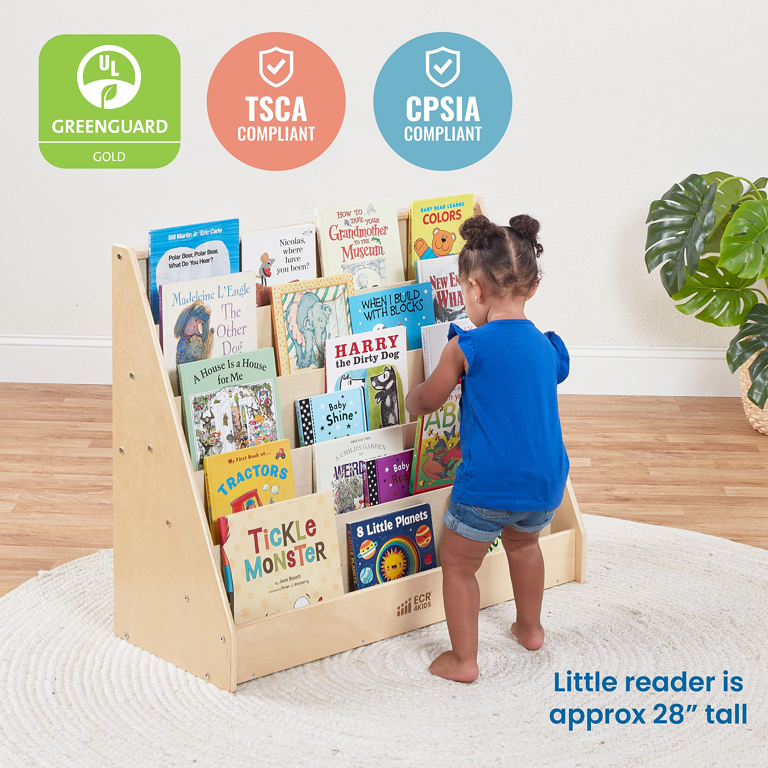 Single-Sided Book Display Classroom Bookshelf Natural Wood