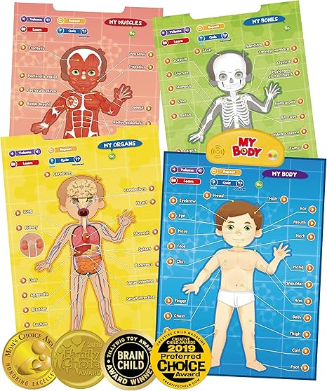 i-Poster My USA Interactive Map - Educational Talking Toy for Kids