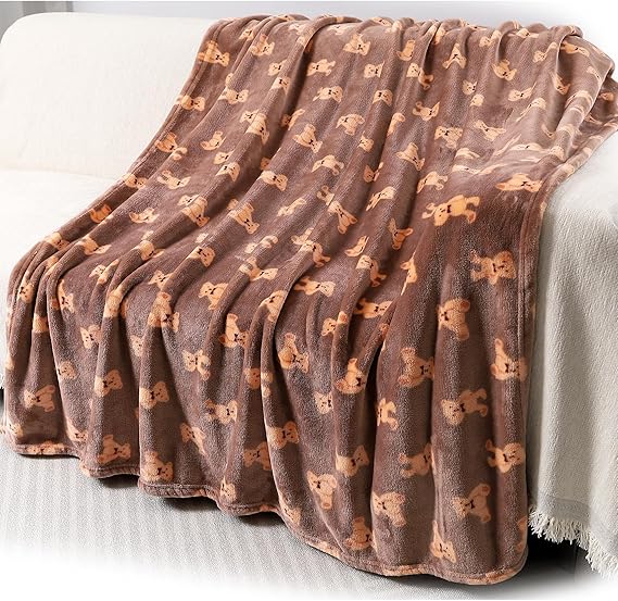 Warm Soft Toddler Fleece Blankets for Boys with Dinosaur Pattern Print