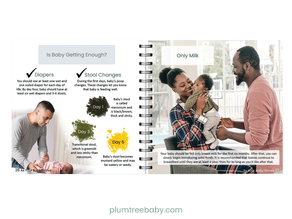 Breastfeeding Pocket Guide