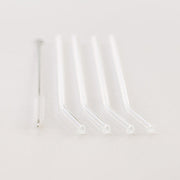Glass Straws, 4 Pack