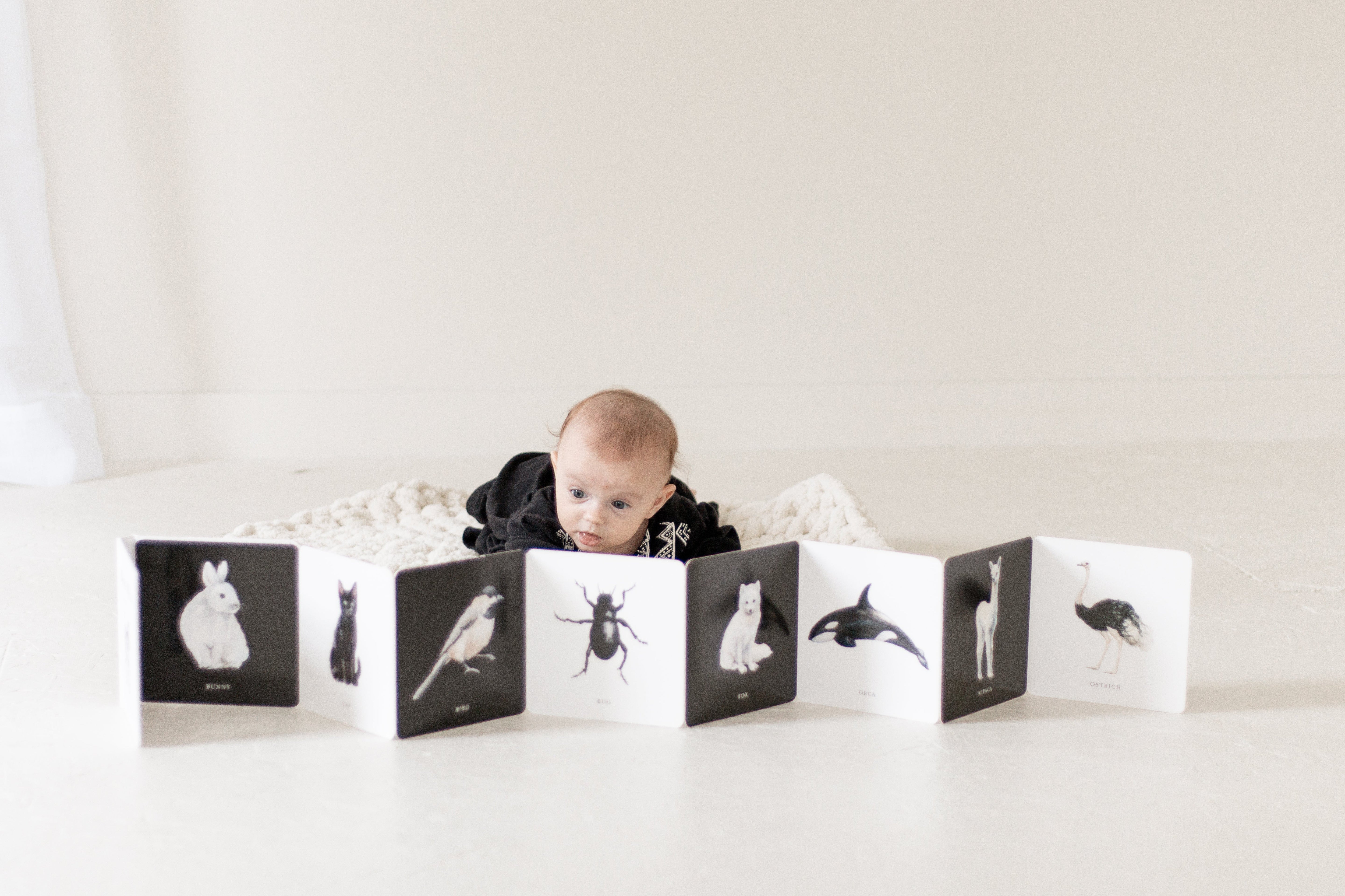 Black and White Contrast Book
